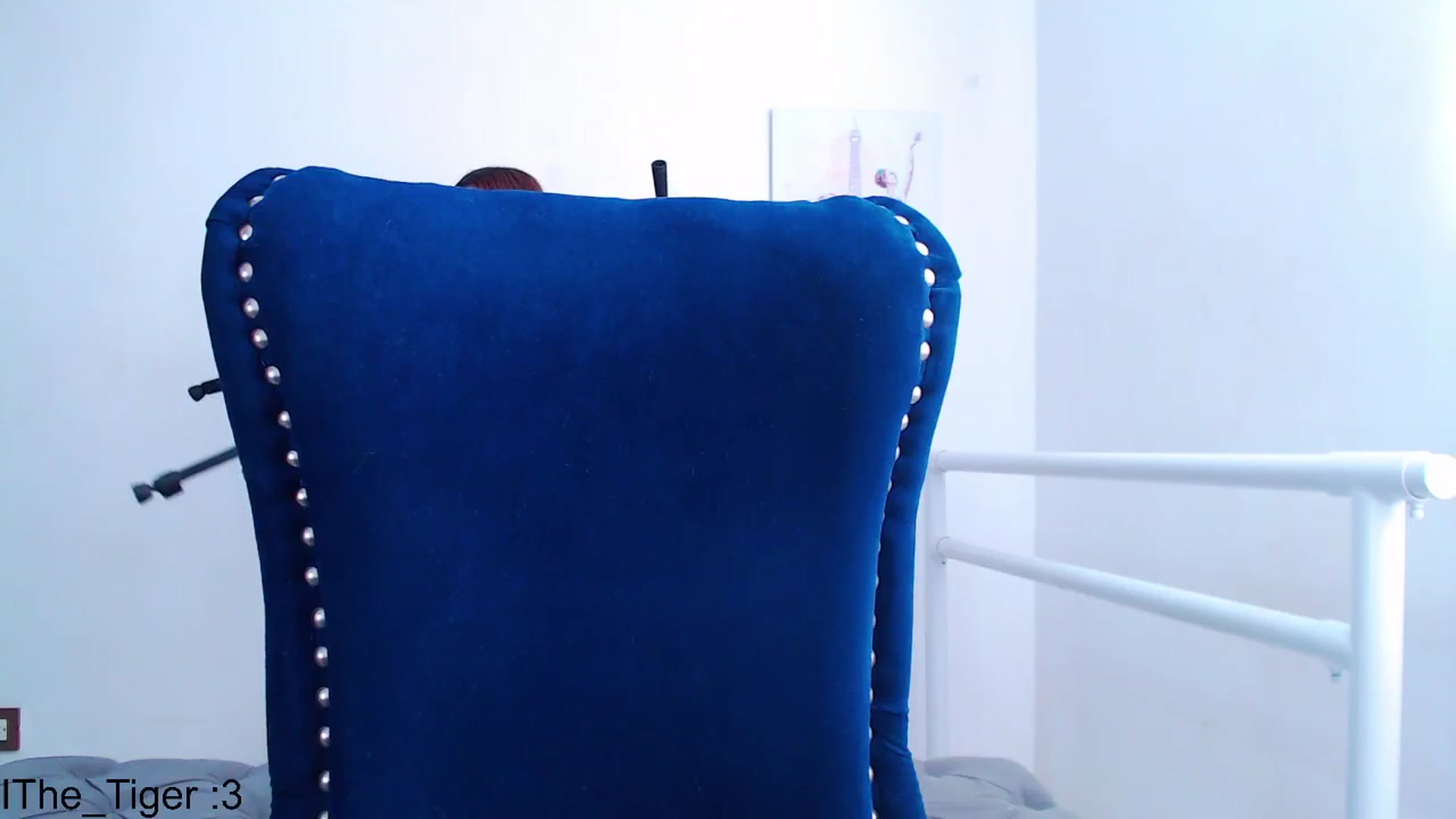 Gallery image thumbnail from Hollyballet's myfreecams stream on, 07/25/2023, 17:34 image 16 of 20