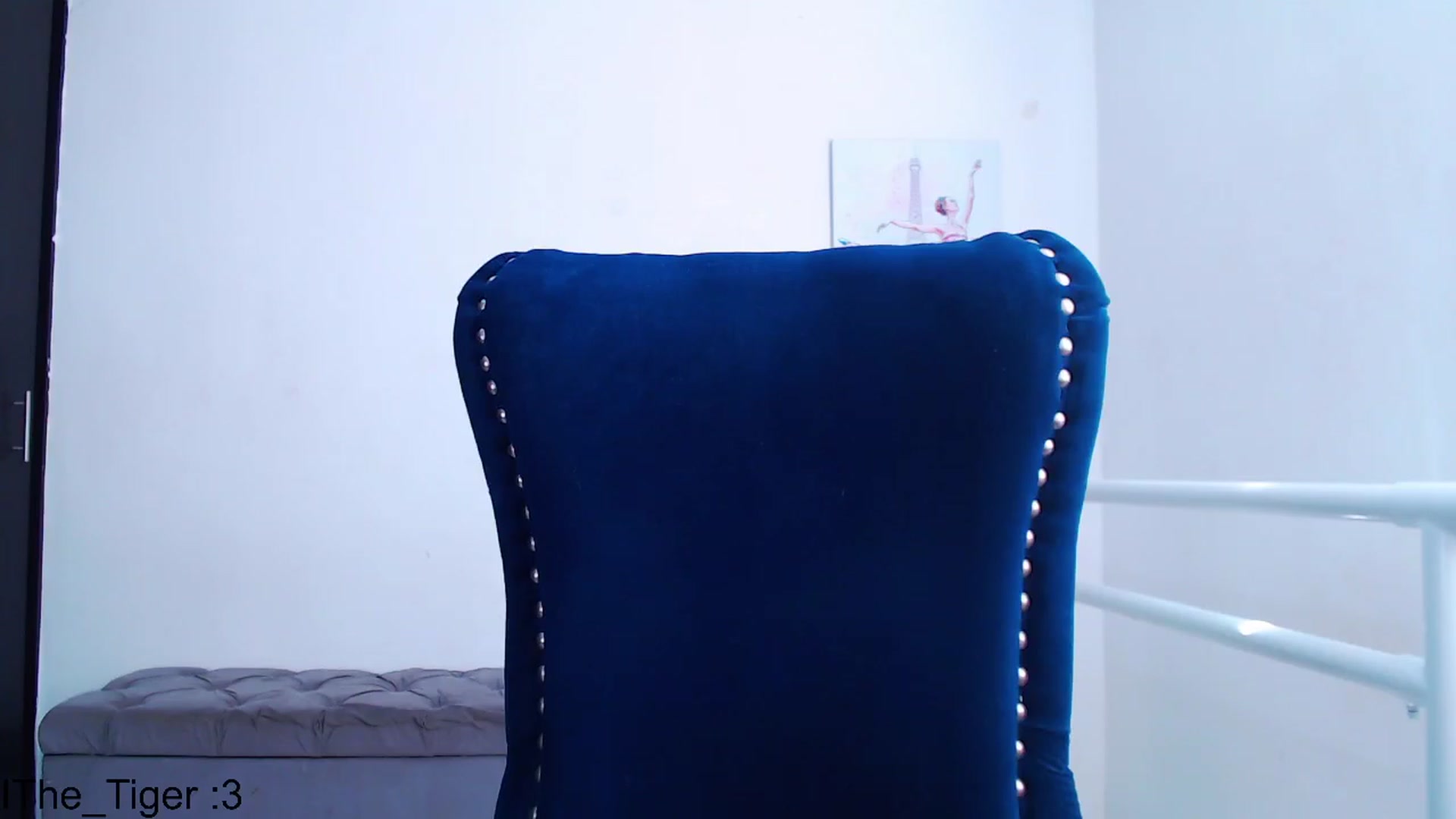Gallery image thumbnail from Hollyballet's myfreecams stream on, 07/25/2023, 18:25 image 11 of 20