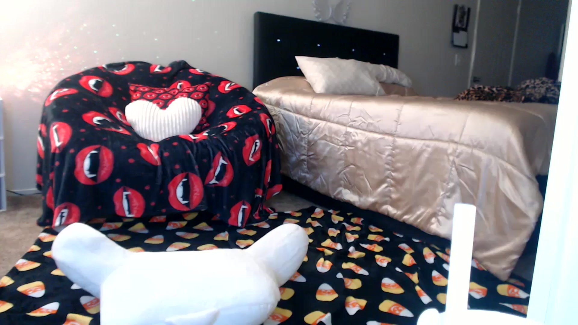 Gallery image thumbnail from Hollydollxo's myfreecams stream on, 10/20/2025, 23:21 image 9 of 20