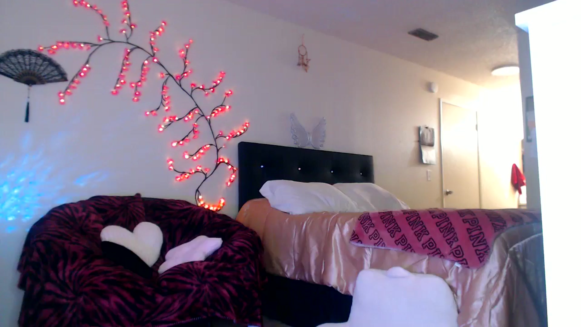Gallery image thumbnail from Hollydollxo's myfreecams stream on, 11/25/2025, 08:10 image 2 of 20