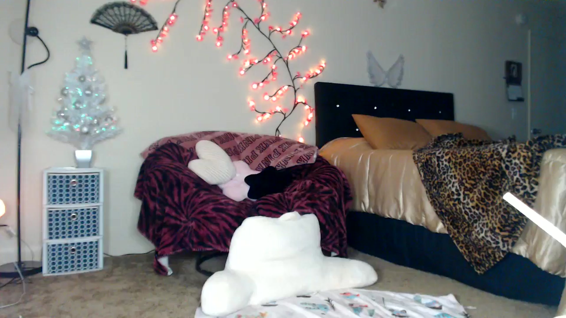 Gallery image thumbnail from Hollydollxo's myfreecams stream on, 12/25/2025, 06:57 image 8 of 20