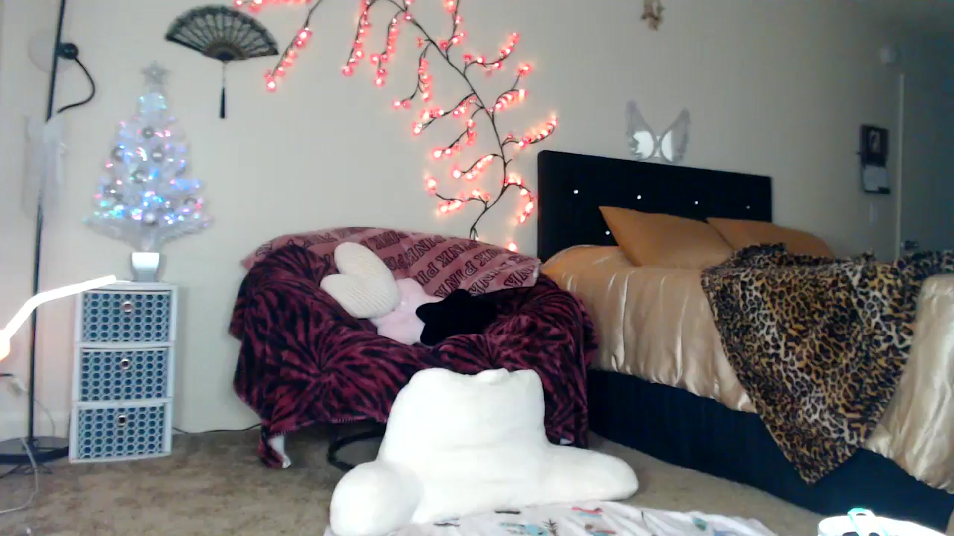 Gallery image thumbnail from Hollydollxo's myfreecams stream on, 12/25/2025, 06:57 image 2 of 20