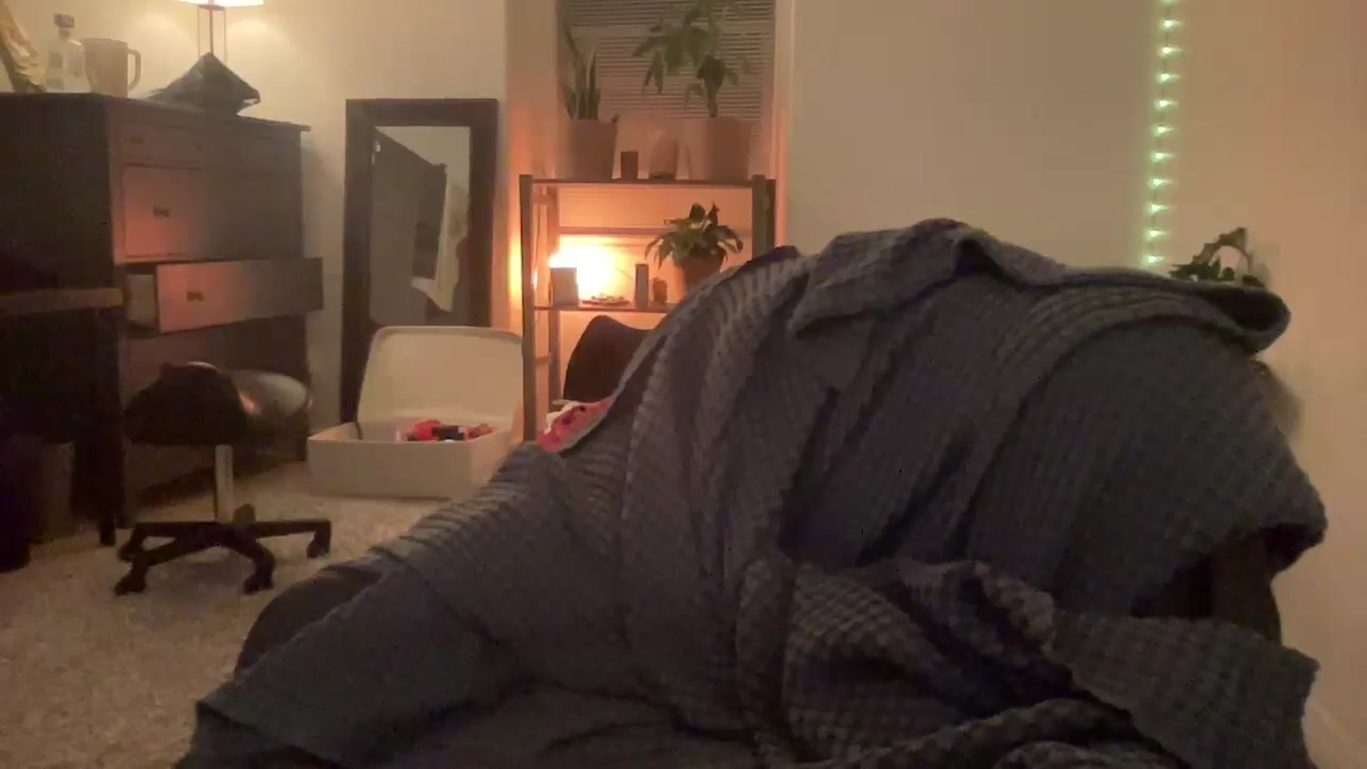 Gallery image thumbnail from HoneyHaus's myfreecams stream on, 09/10/2025, 09:28 image 19 of 20