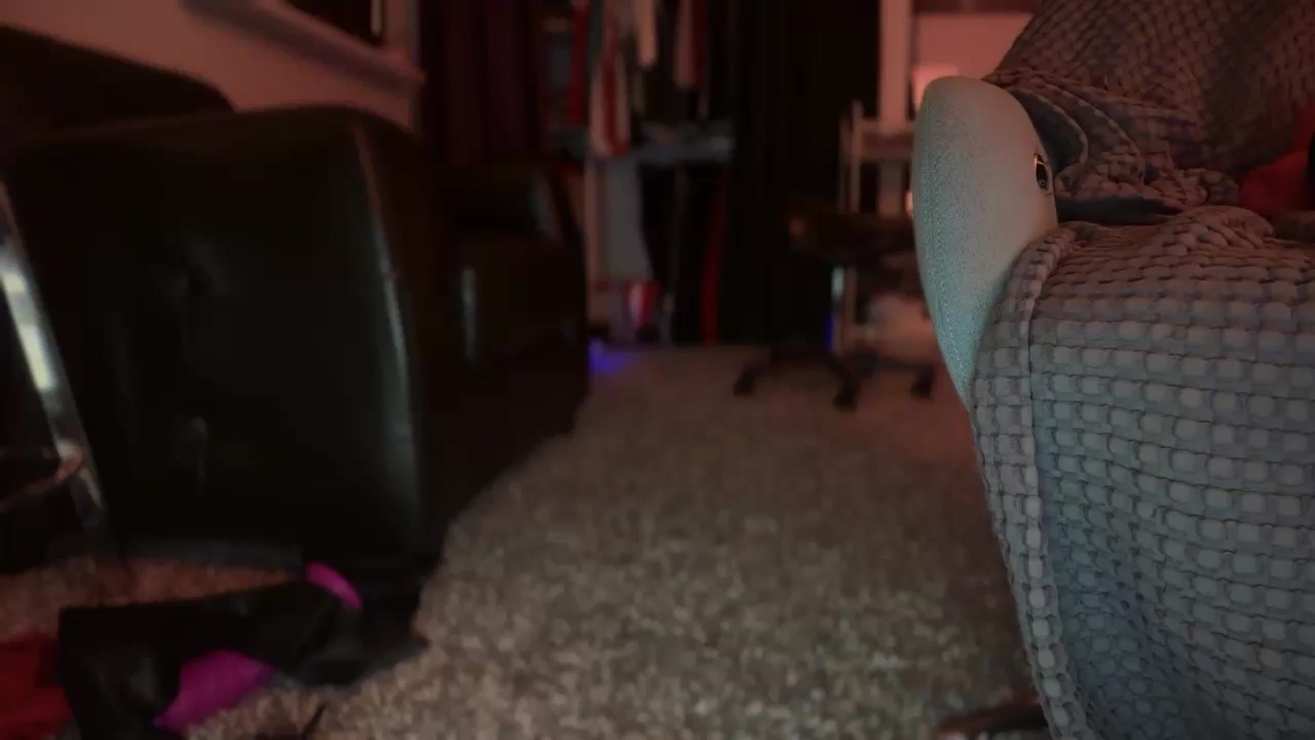 Gallery image thumbnail from HoneyHaus's myfreecams stream on, 01/02/2026, 10:41 image 14 of 20