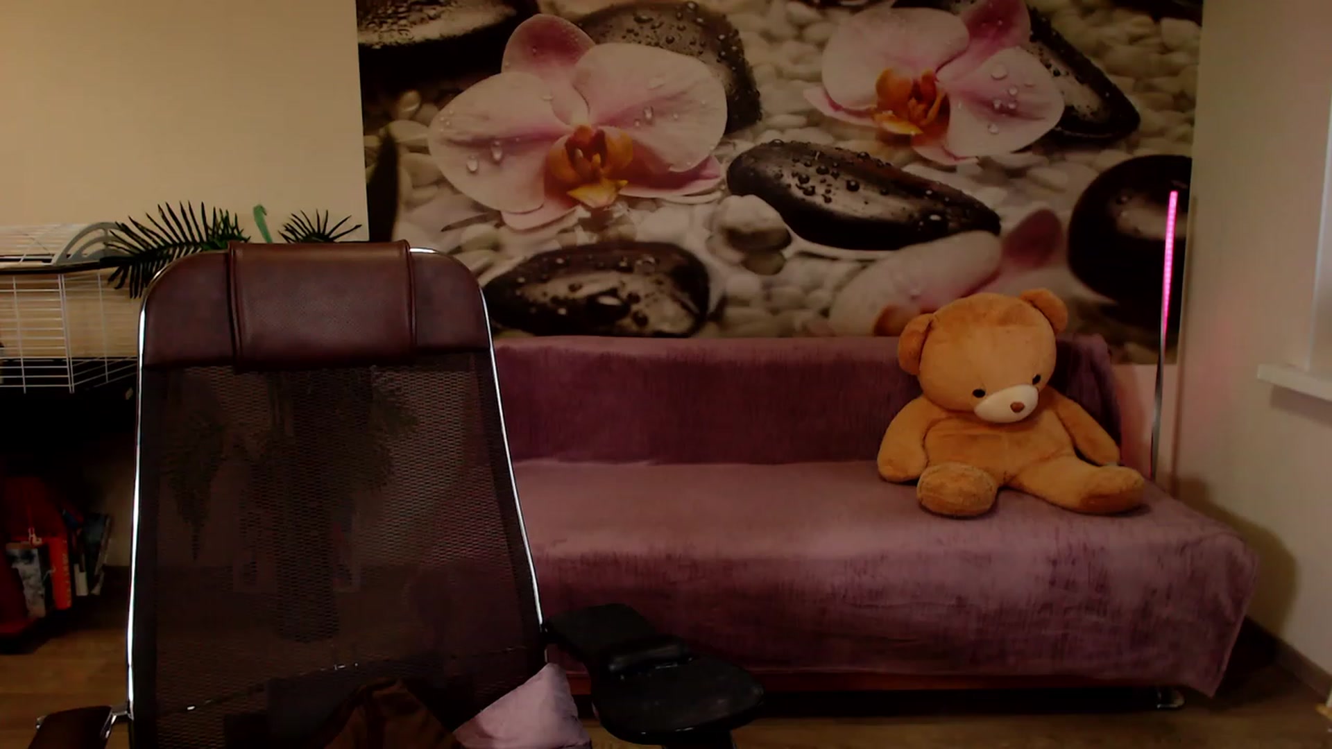 Gallery image thumbnail from HoneyIAmHome's myfreecams stream on, 11/16/2022, 08:06 image 13 of 20