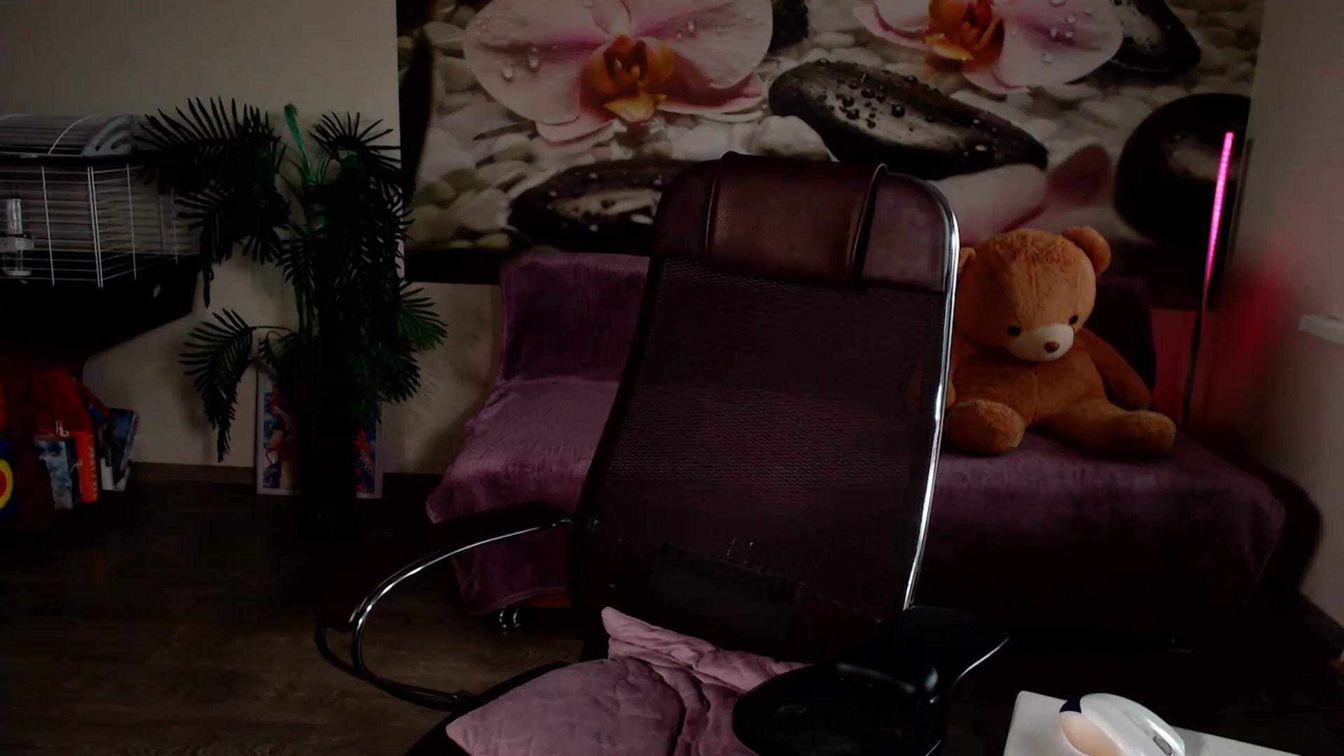 Gallery image thumbnail from HoneyIAmHome's myfreecams stream on, 11/16/2022, 08:06 image 5 of 20