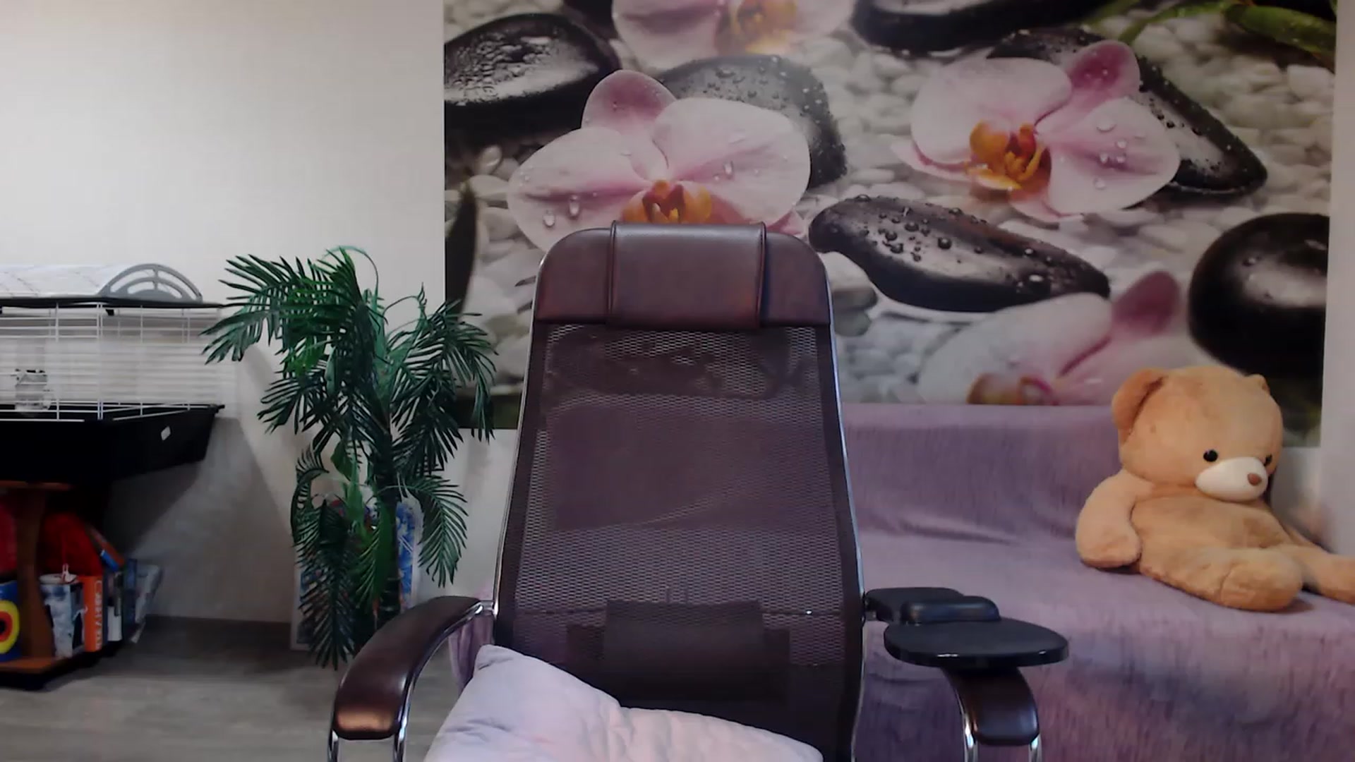 Gallery image thumbnail from HoneyIAmHome's myfreecams stream on, 12/12/2022, 08:06 image 3 of 20