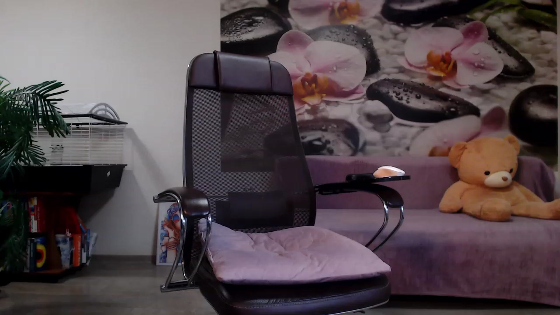 Gallery image thumbnail from HoneyIAmHome's myfreecams stream on, 12/17/2022, 08:11 image 4 of 20