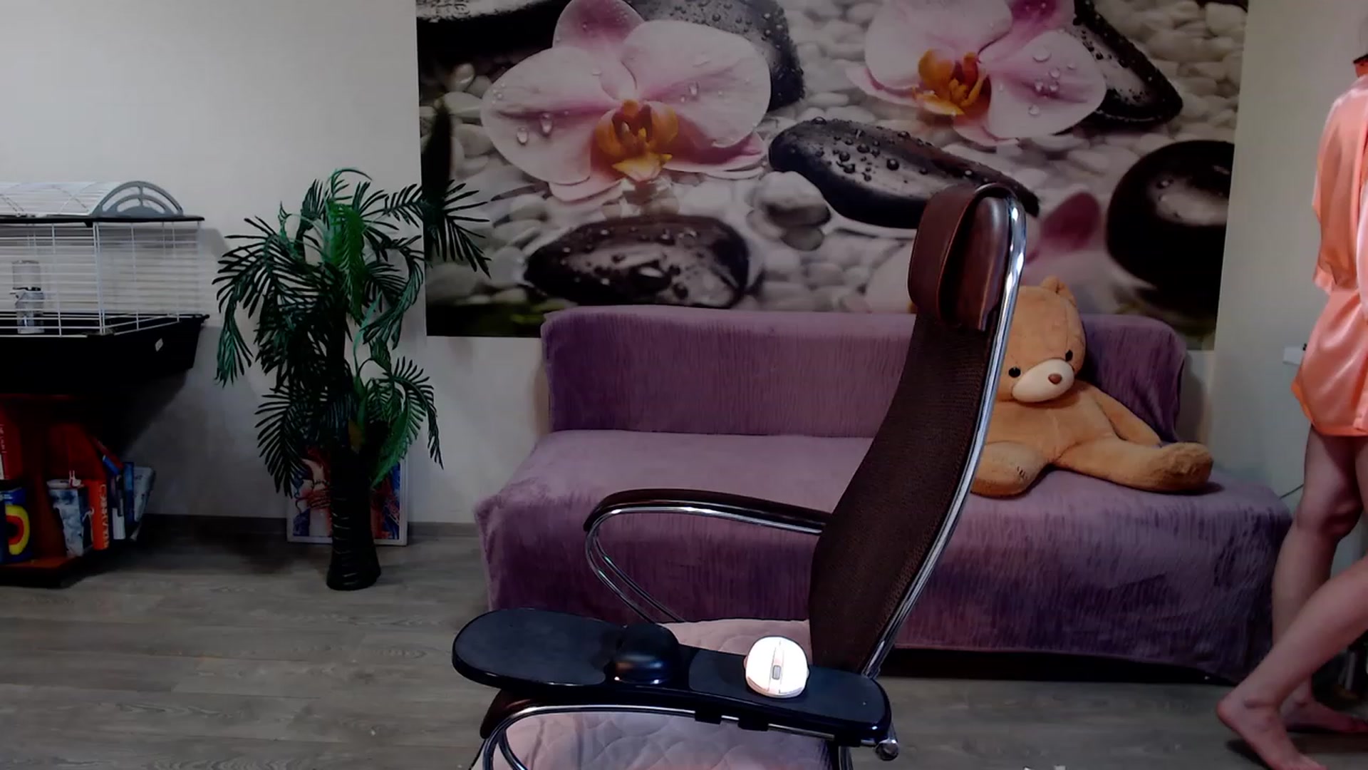 Gallery image thumbnail from HoneyIAmHome's myfreecams stream on, 12/18/2022, 07:44 image 6 of 20