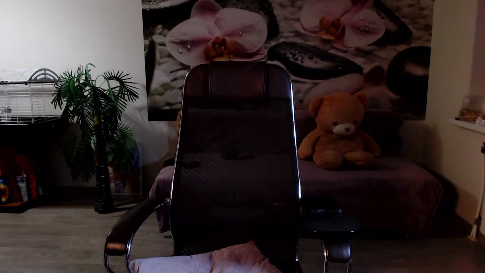 Gallery image thumbnail from HoneyIAmHome's myfreecams stream on, 12/24/2022, 07:57 image 14 of 20