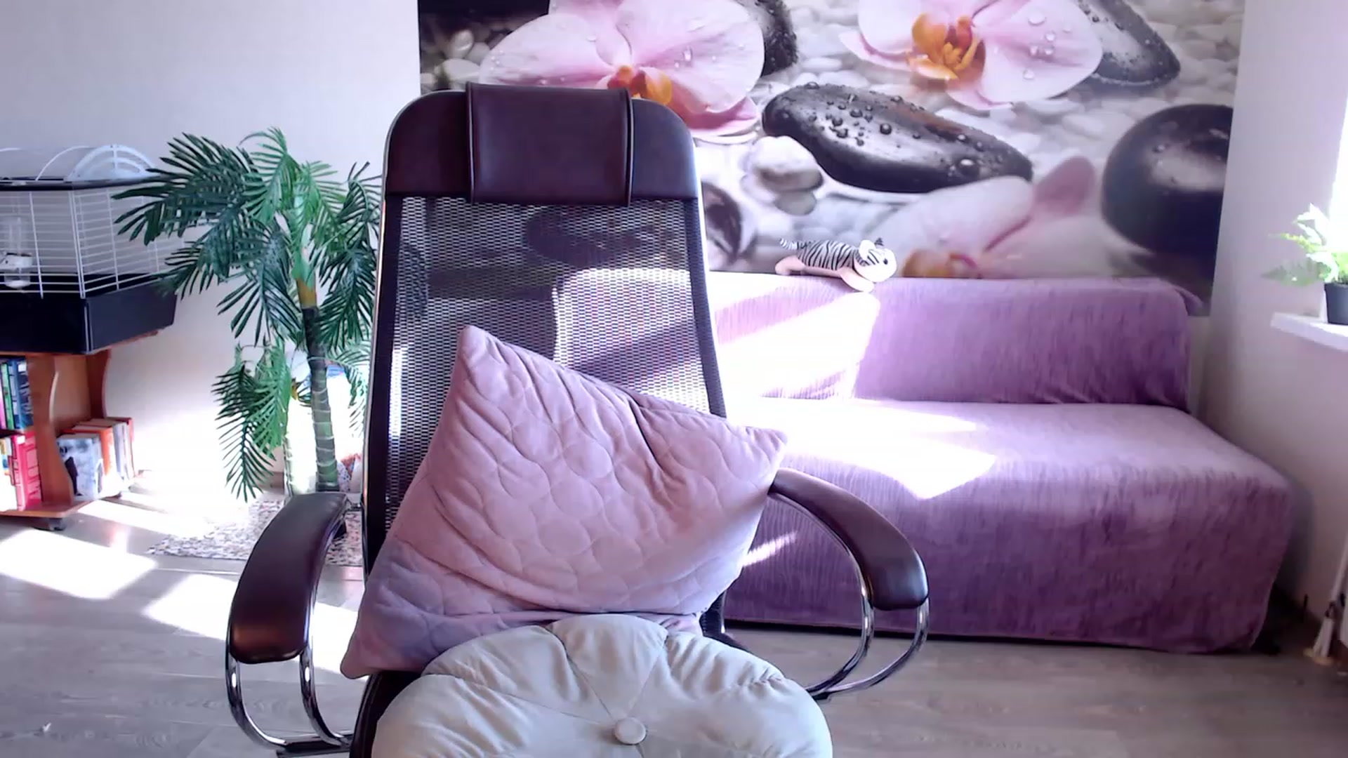 Gallery image thumbnail from HoneyIAmHome's myfreecams stream on, 02/08/2023, 05:54 image 5 of 20