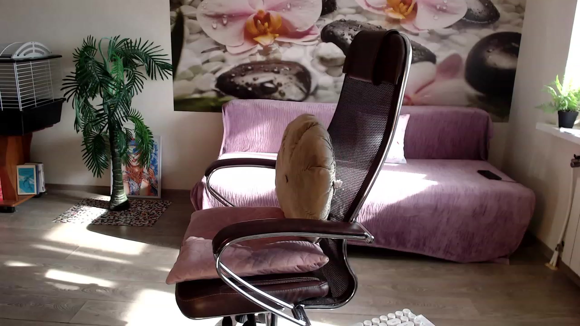 Gallery image thumbnail from HoneyIAmHome's myfreecams stream on, 02/25/2023, 06:06 image 7 of 20