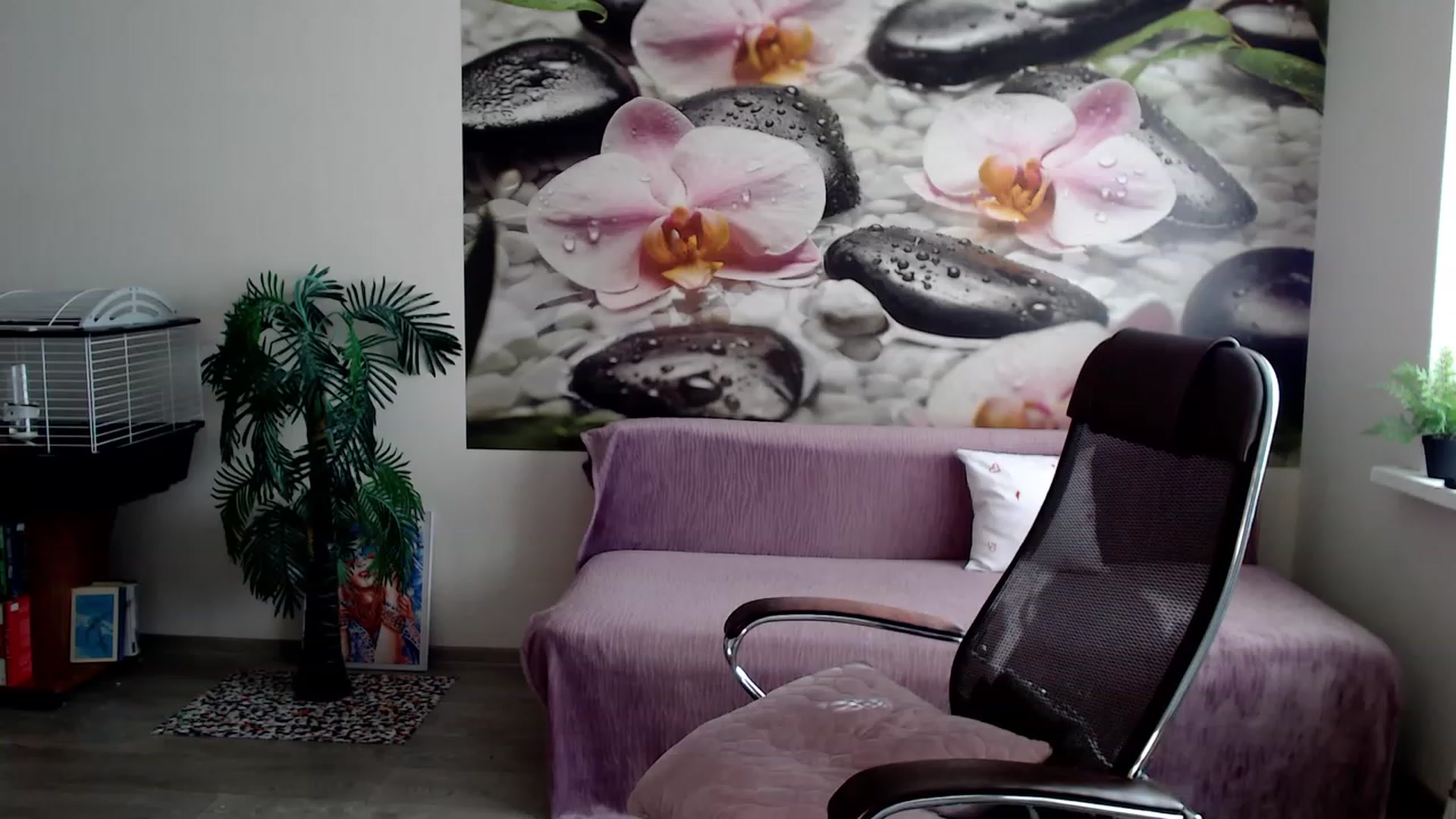 Gallery image thumbnail from HoneyIAmHome's myfreecams stream on, 02/26/2023, 07:43 image 16 of 20
