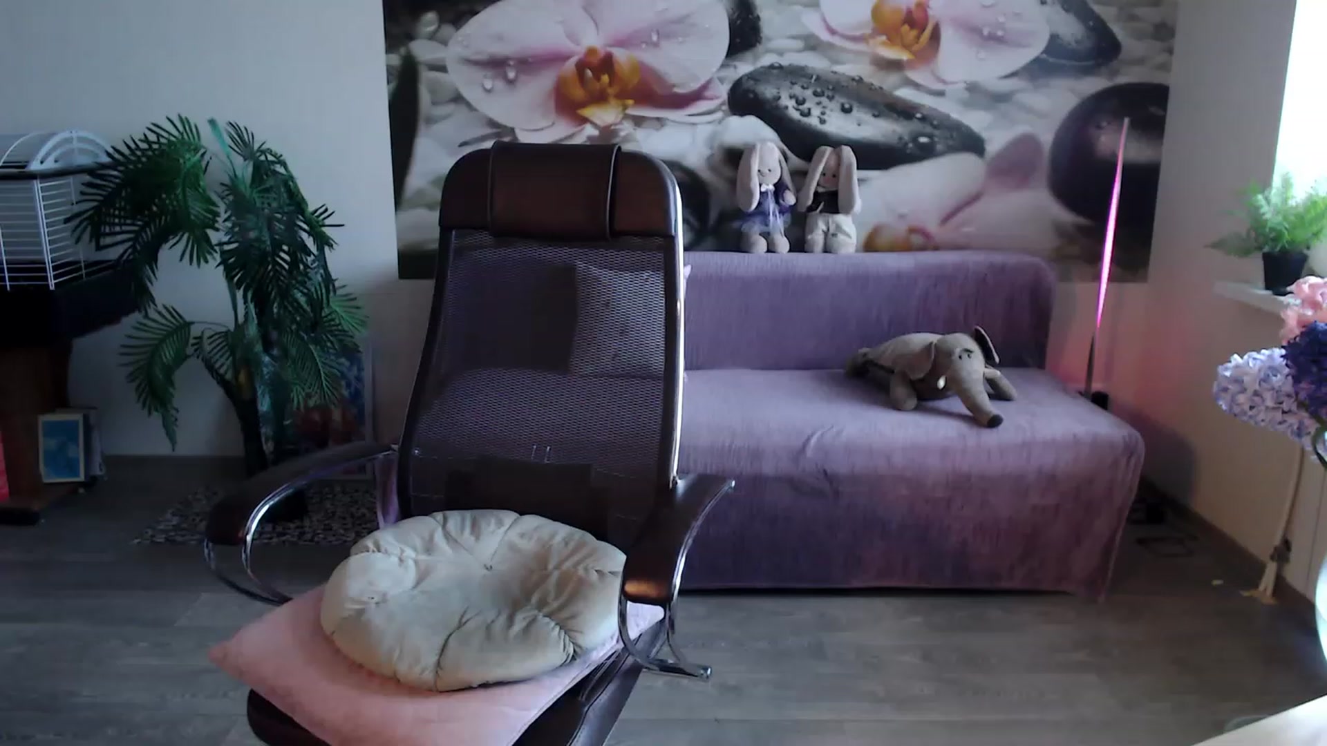Gallery image thumbnail from HoneyIAmHome's myfreecams stream on, 03/13/2023, 05:19 image 17 of 20