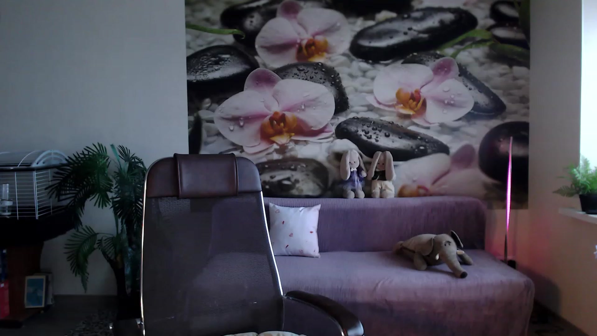 Gallery image thumbnail from HoneyIAmHome's myfreecams stream on, 03/13/2023, 07:00 image 6 of 20