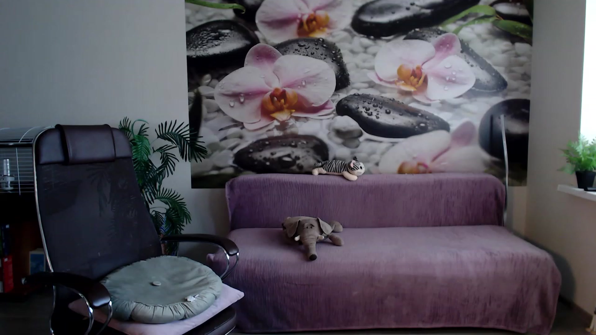 Gallery image thumbnail from HoneyIAmHome's myfreecams stream on, 03/19/2023, 09:25 image 7 of 20