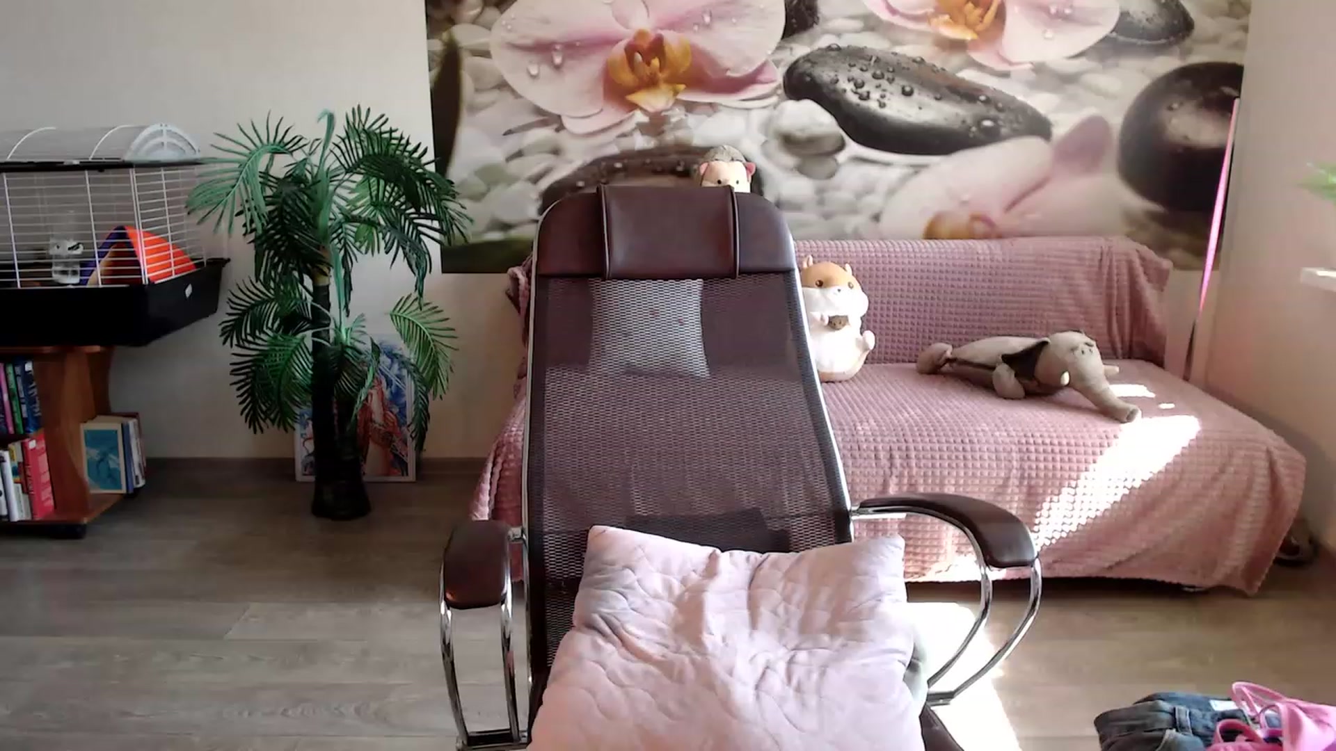 Gallery image thumbnail from HoneyIAmHome's myfreecams stream on, 03/29/2023, 06:31 image 3 of 20