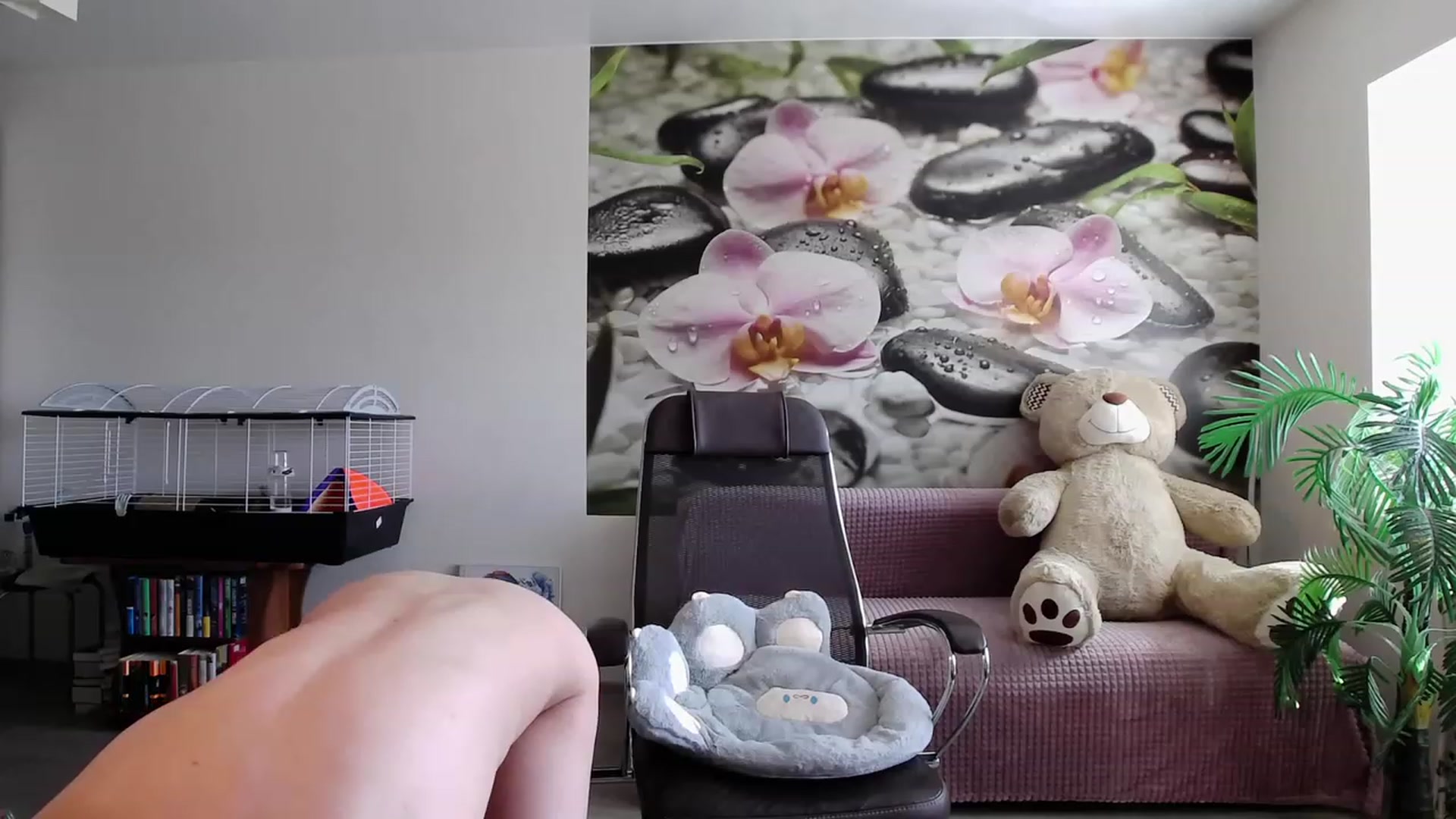 Gallery image thumbnail from HoneyIAmHome's myfreecams stream on, 04/17/2023, 06:15 image 11 of 20