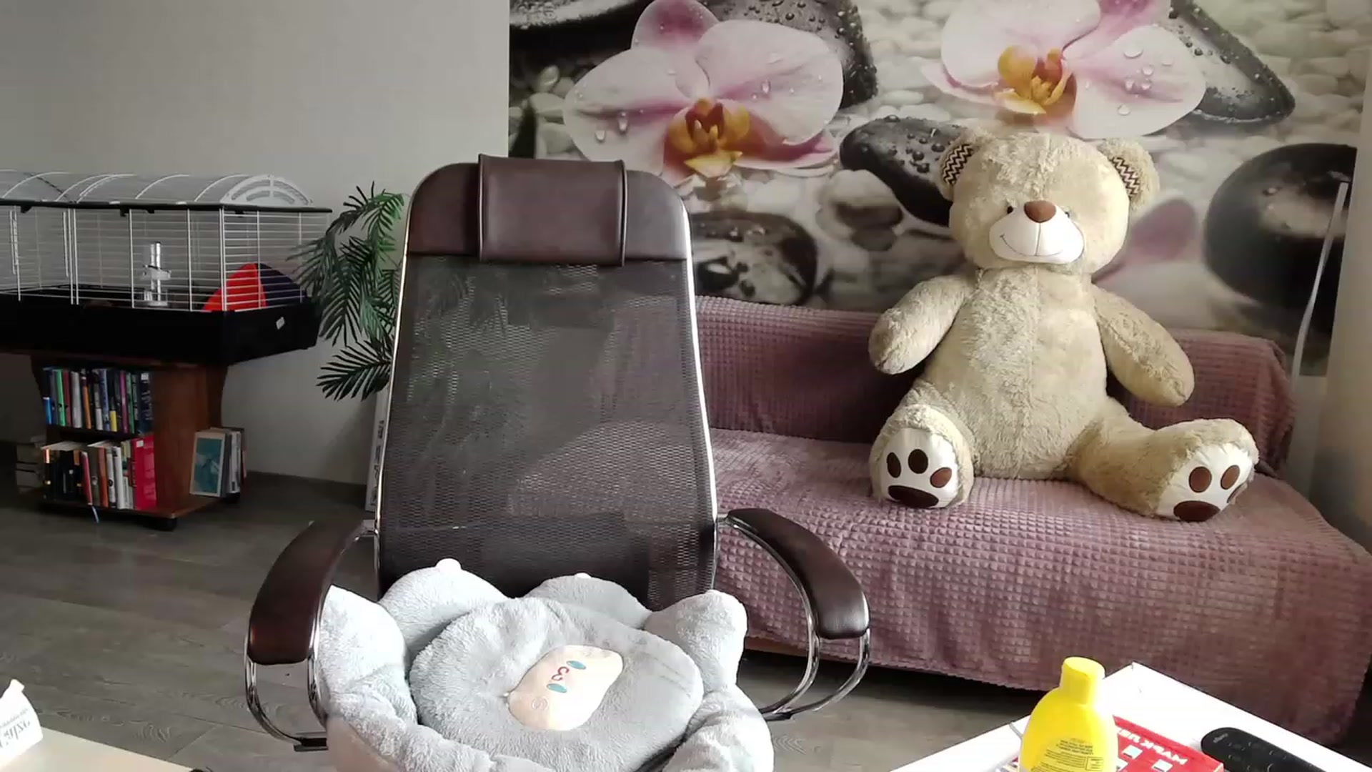 Gallery image thumbnail from HoneyIAmHome's myfreecams stream on, 05/03/2023, 06:32 image 17 of 20