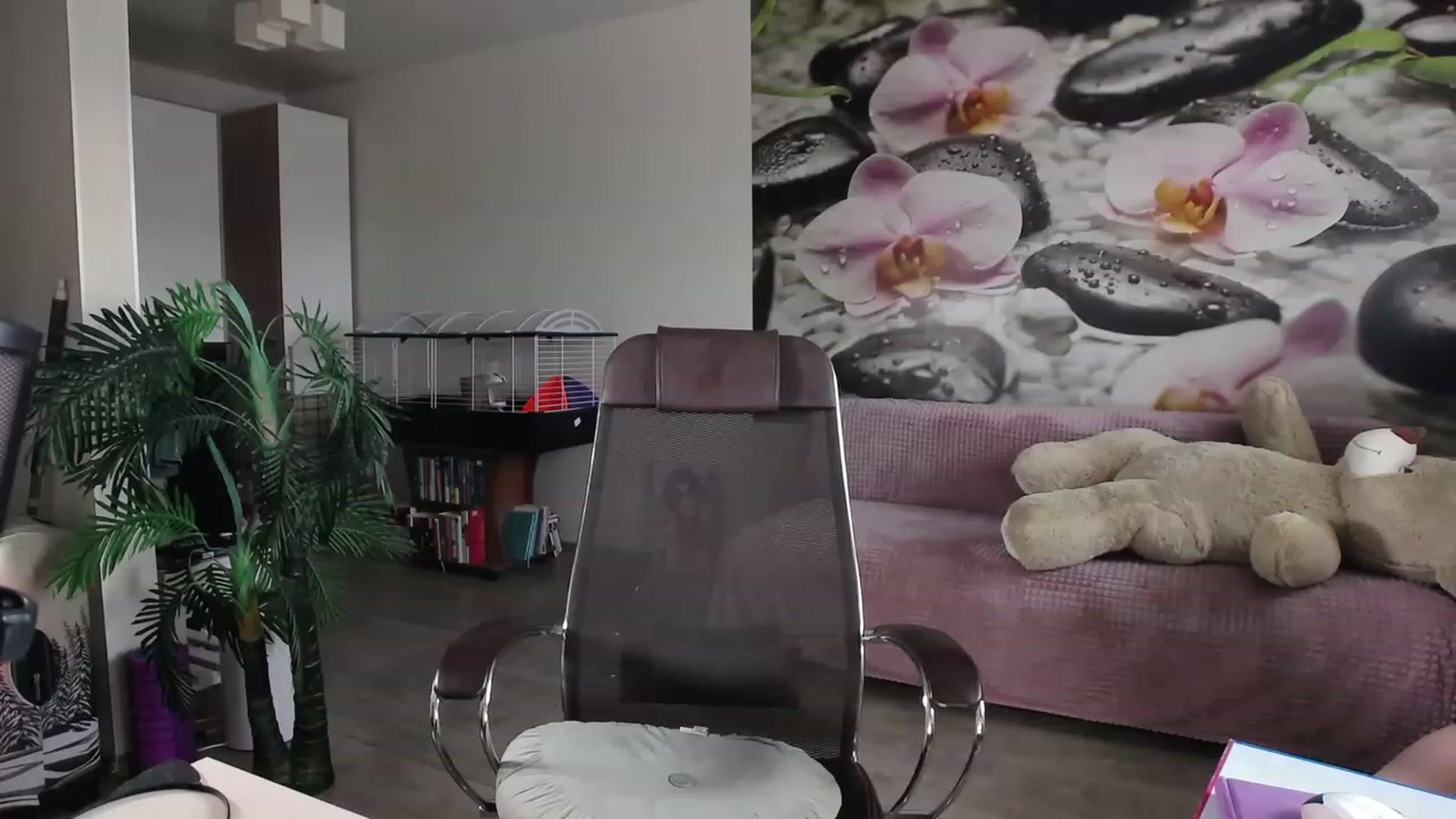 Gallery image thumbnail from HoneyIAmHome's myfreecams stream on, 05/31/2023, 07:18 image 16 of 20