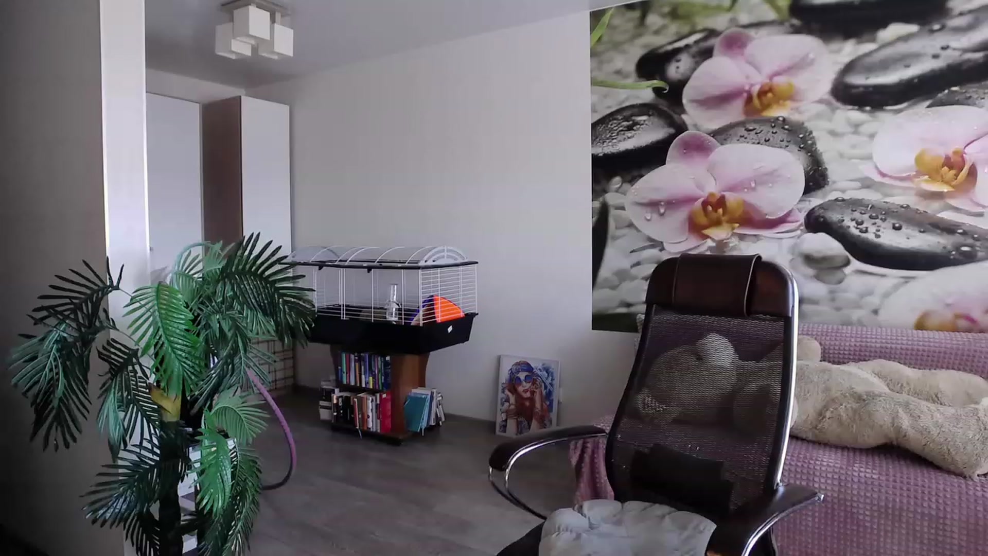 Gallery image thumbnail from HoneyIAmHome's myfreecams stream on, 06/15/2023, 08:14 image 6 of 20