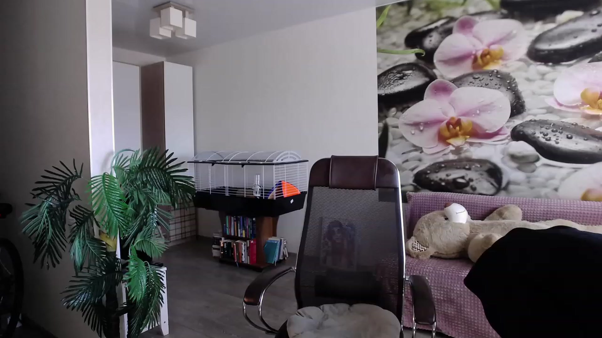 Gallery image thumbnail from HoneyIAmHome's myfreecams stream on, 06/15/2023, 08:14 image 13 of 20