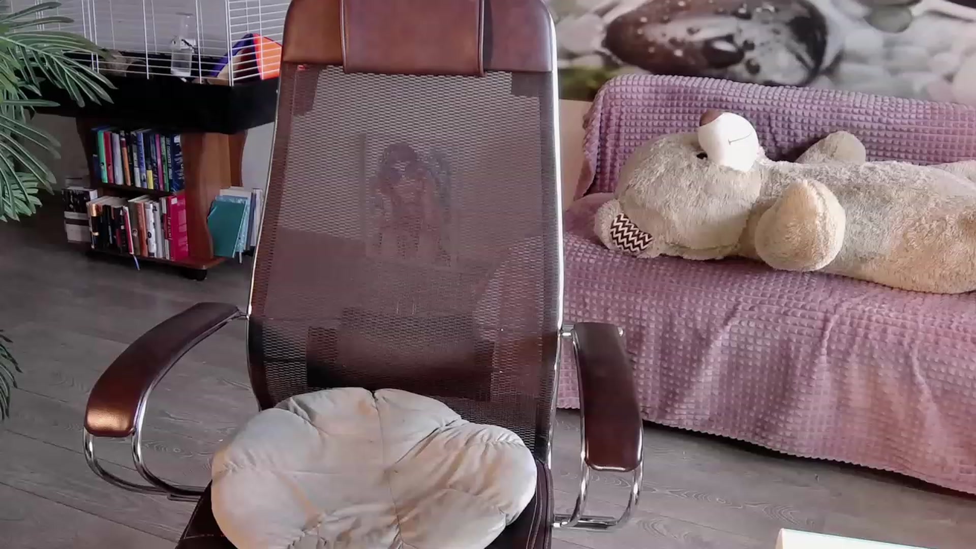 Gallery image thumbnail from HoneyIAmHome's myfreecams stream on, 06/24/2023, 10:24 image 2 of 20