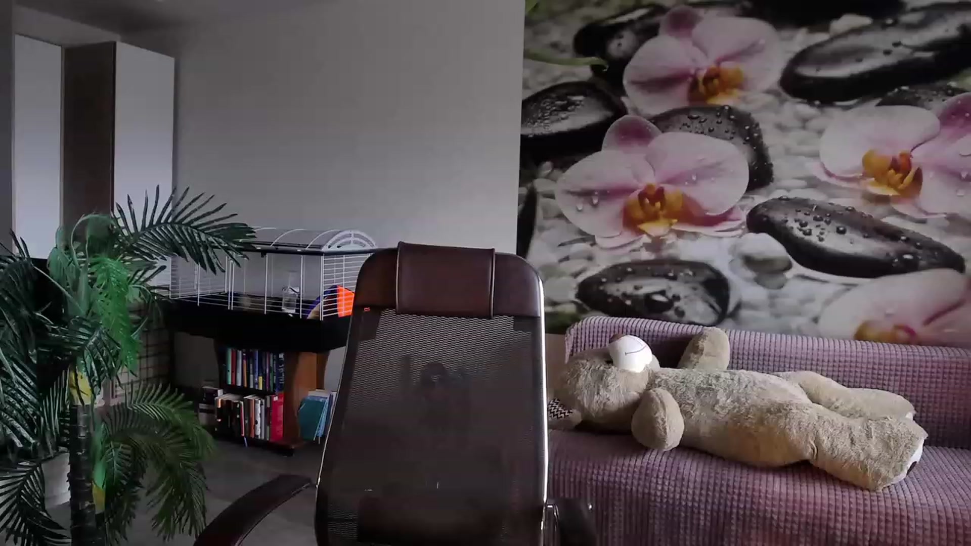 Gallery image thumbnail from HoneyIAmHome's myfreecams stream on, 06/25/2023, 05:56 image 8 of 20