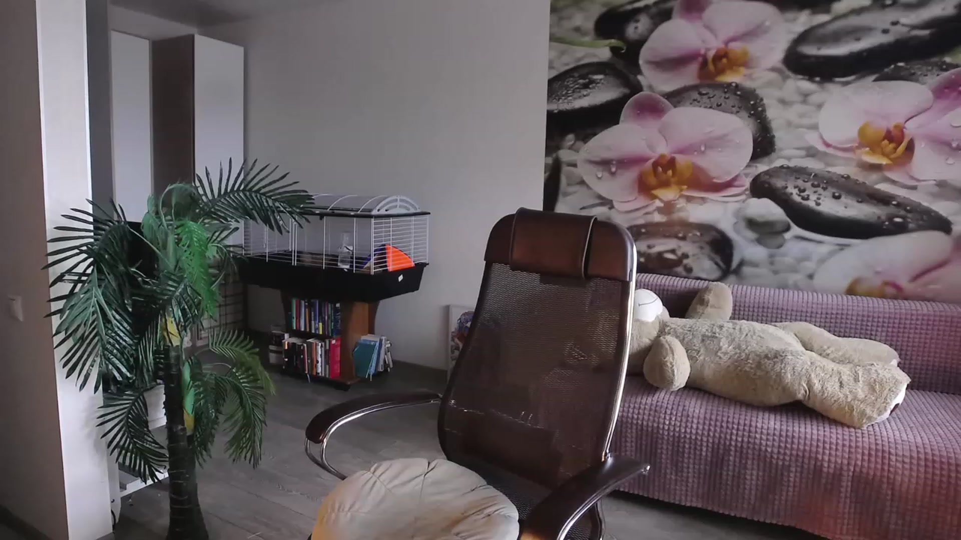 Gallery image thumbnail from HoneyIAmHome's myfreecams stream on, 06/25/2023, 05:56 image 16 of 20