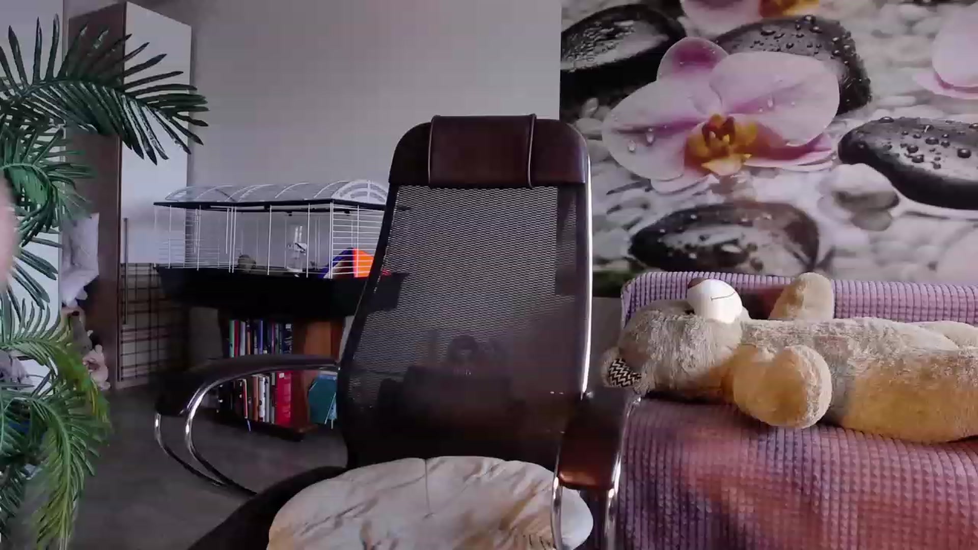 Gallery image thumbnail from HoneyIAmHome's myfreecams stream on, 06/25/2023, 08:20 image 7 of 20