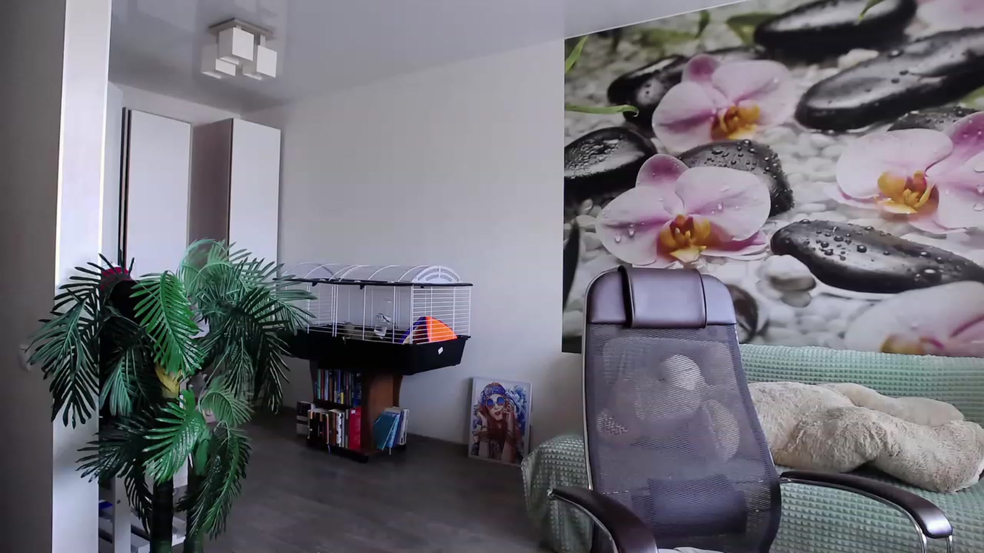 Gallery image thumbnail from HoneyIAmHome's myfreecams stream on, 06/29/2023, 05:11 image 9 of 20