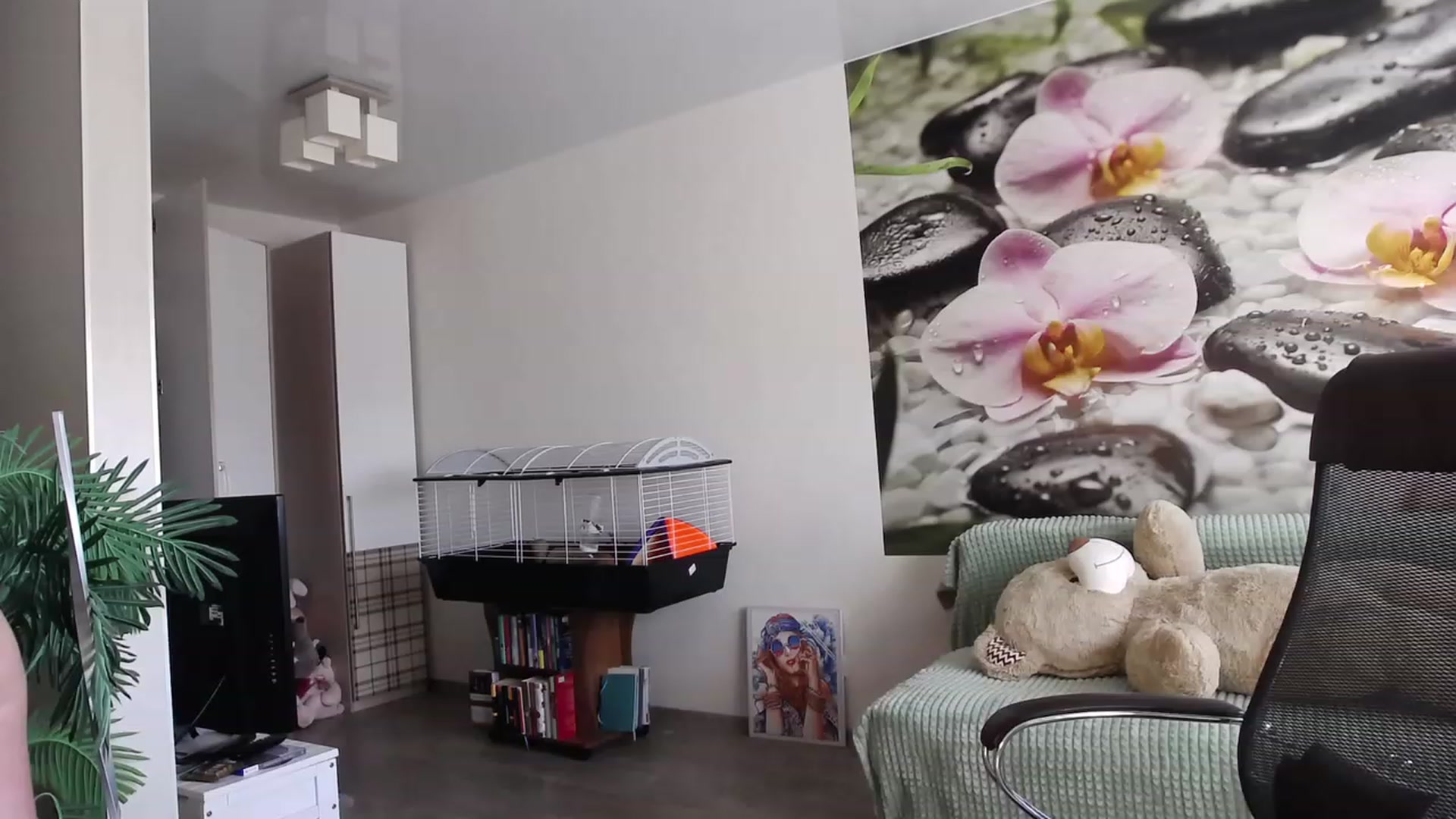 Gallery image thumbnail from HoneyIAmHome's myfreecams stream on, 07/05/2023, 08:15 image 11 of 20