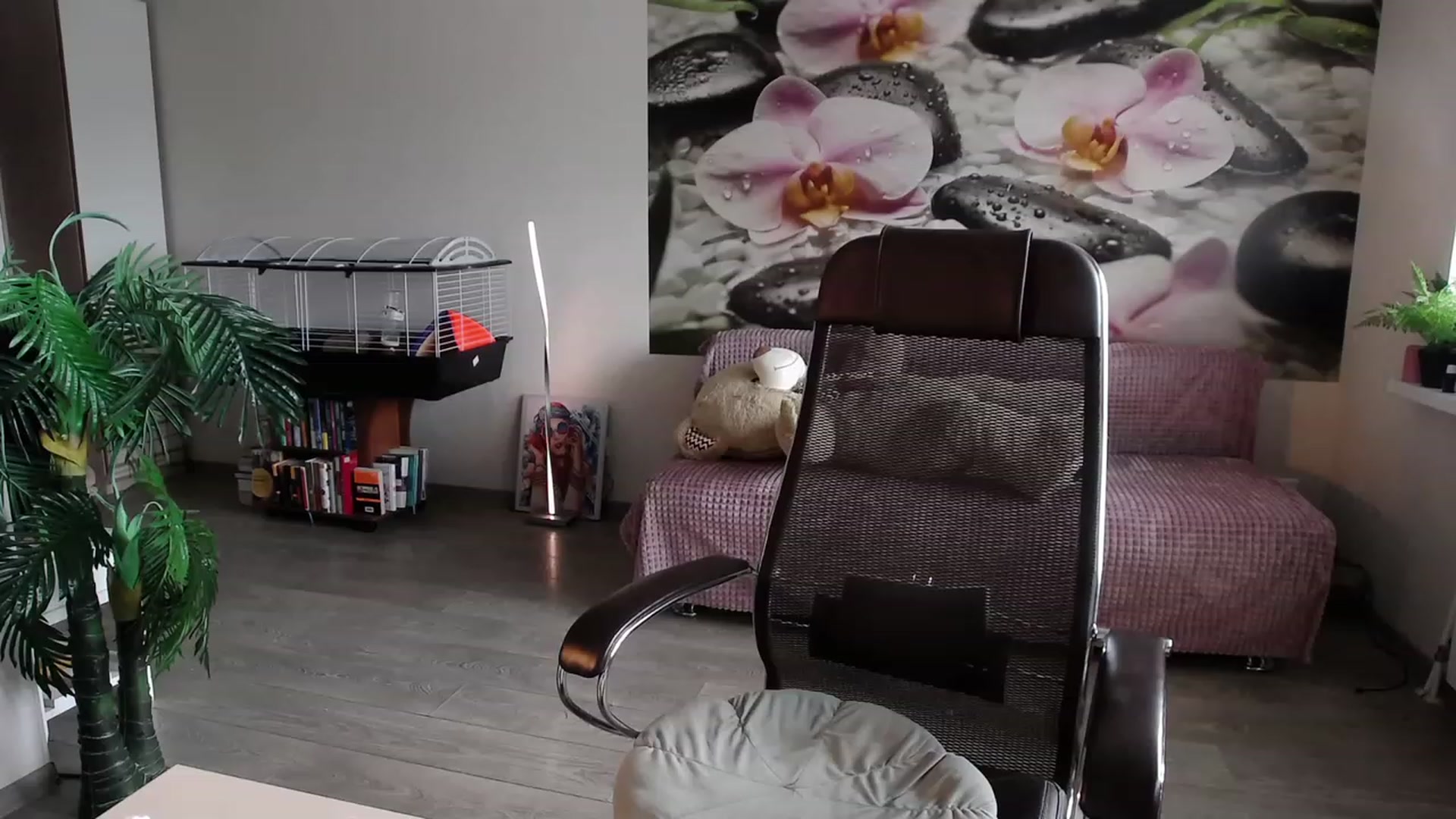 Gallery image thumbnail from HoneyIAmHome's myfreecams stream on, 07/13/2023, 07:32 image 14 of 20