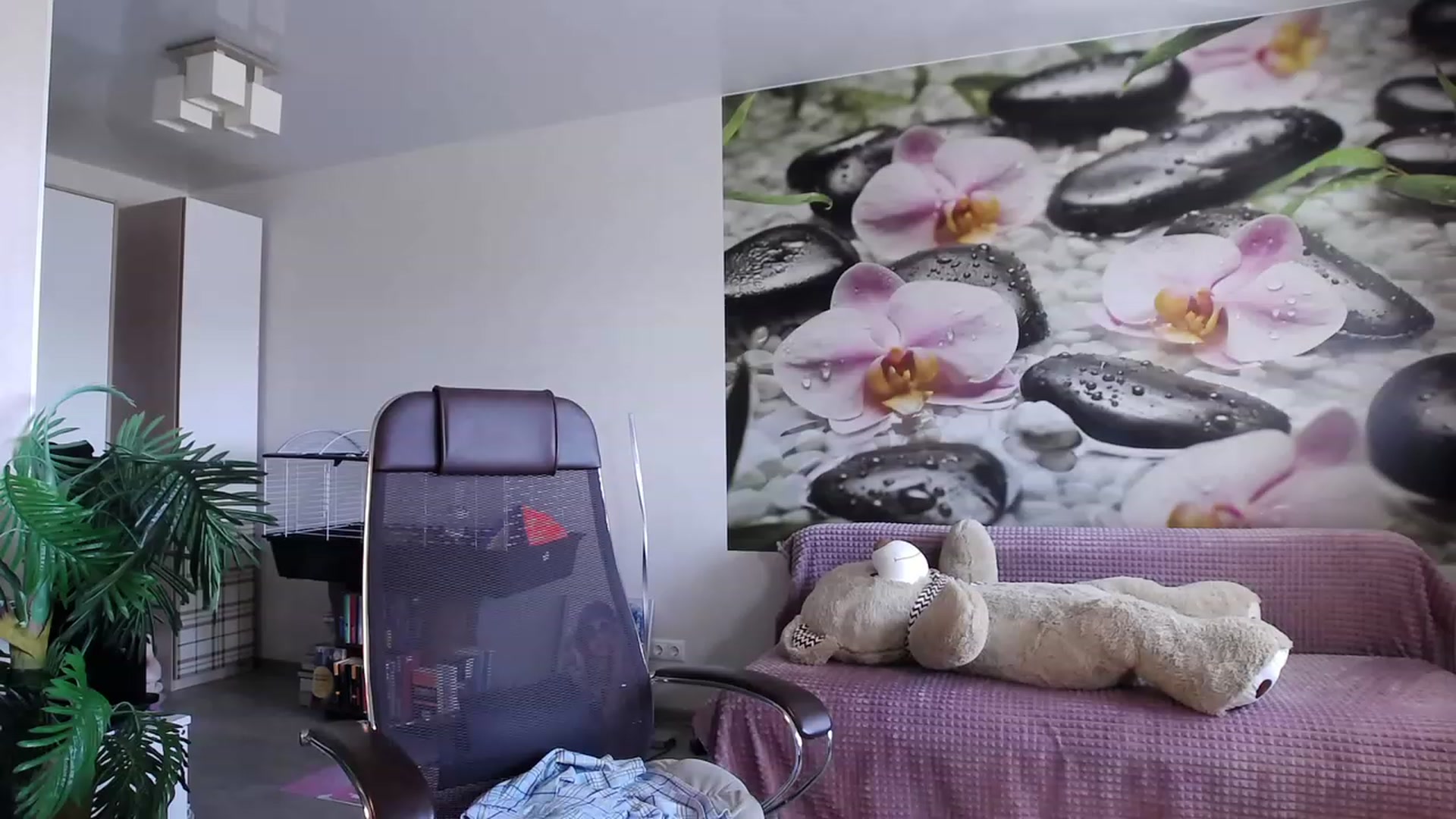 Gallery image thumbnail from HoneyIAmHome's myfreecams stream on, 07/20/2023, 06:55 image 4 of 20