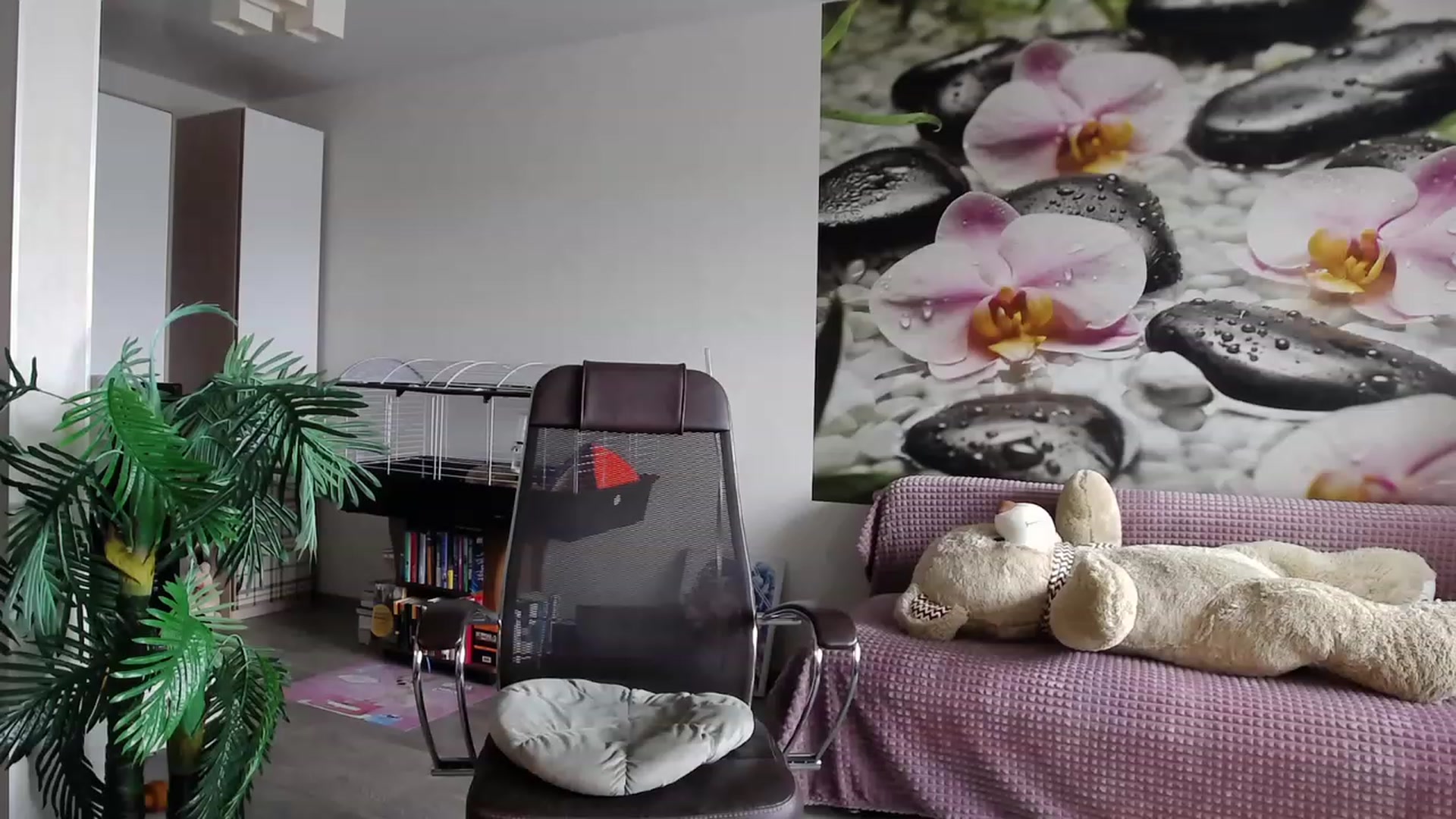 Gallery image thumbnail from HoneyIAmHome's myfreecams stream on, 07/26/2023, 06:39 image 2 of 20