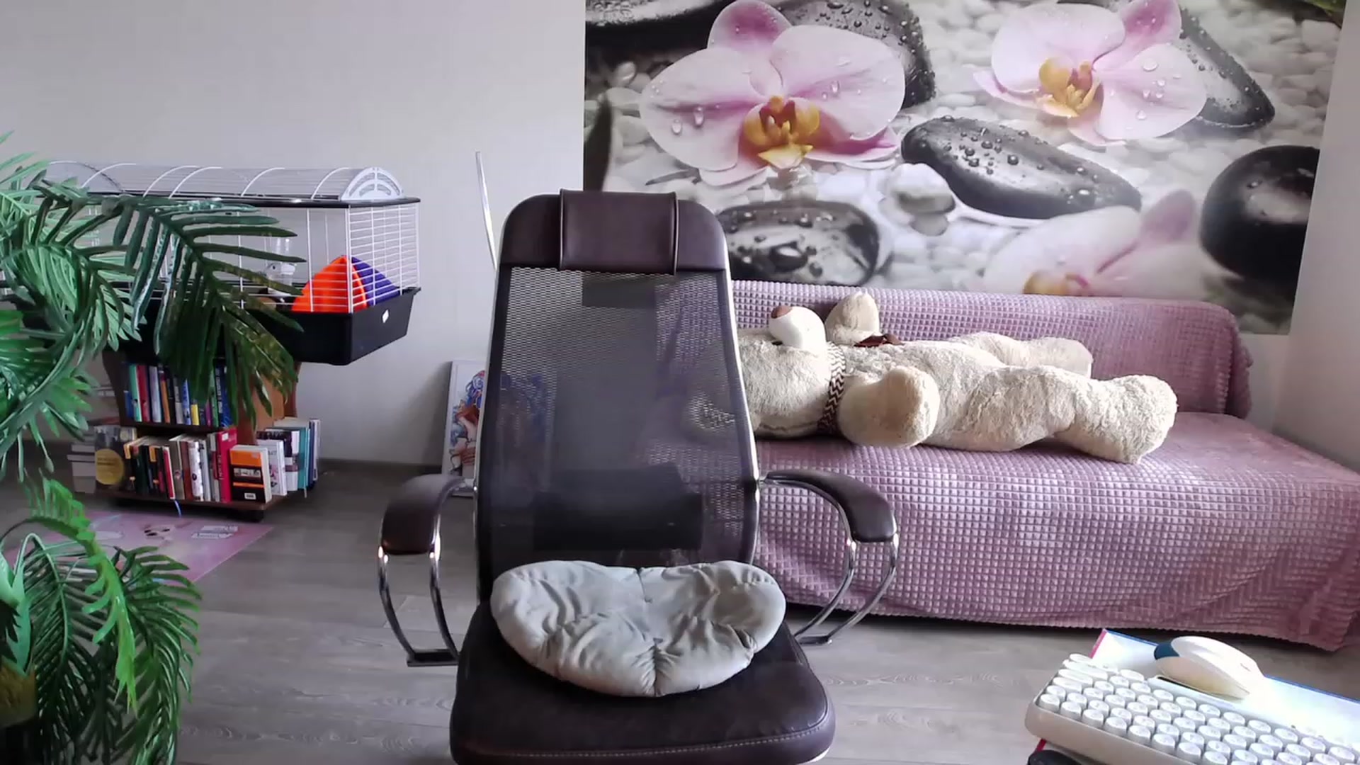 Gallery image thumbnail from HoneyIAmHome's myfreecams stream on, 07/27/2023, 05:40 image 3 of 20