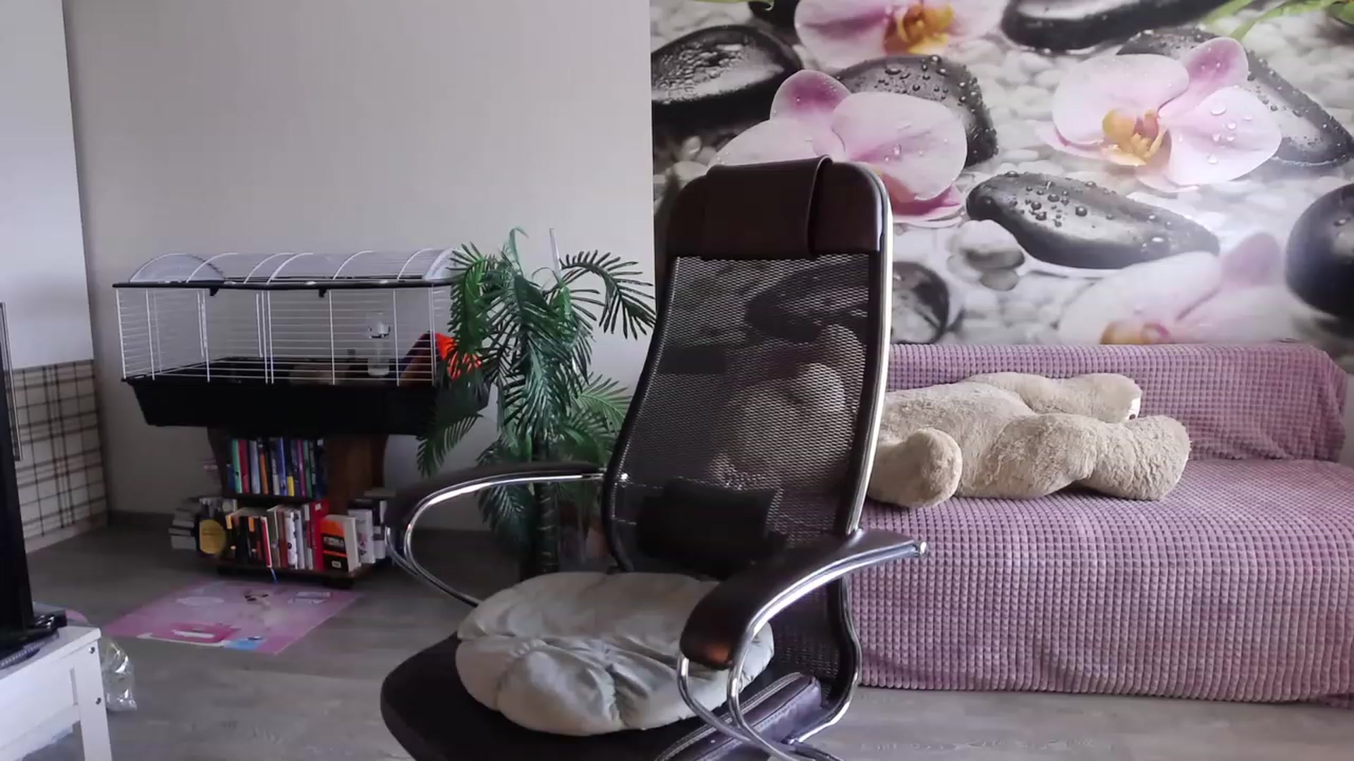 Gallery image thumbnail from HoneyIAmHome's myfreecams stream on, 07/31/2023, 06:27 image 19 of 20