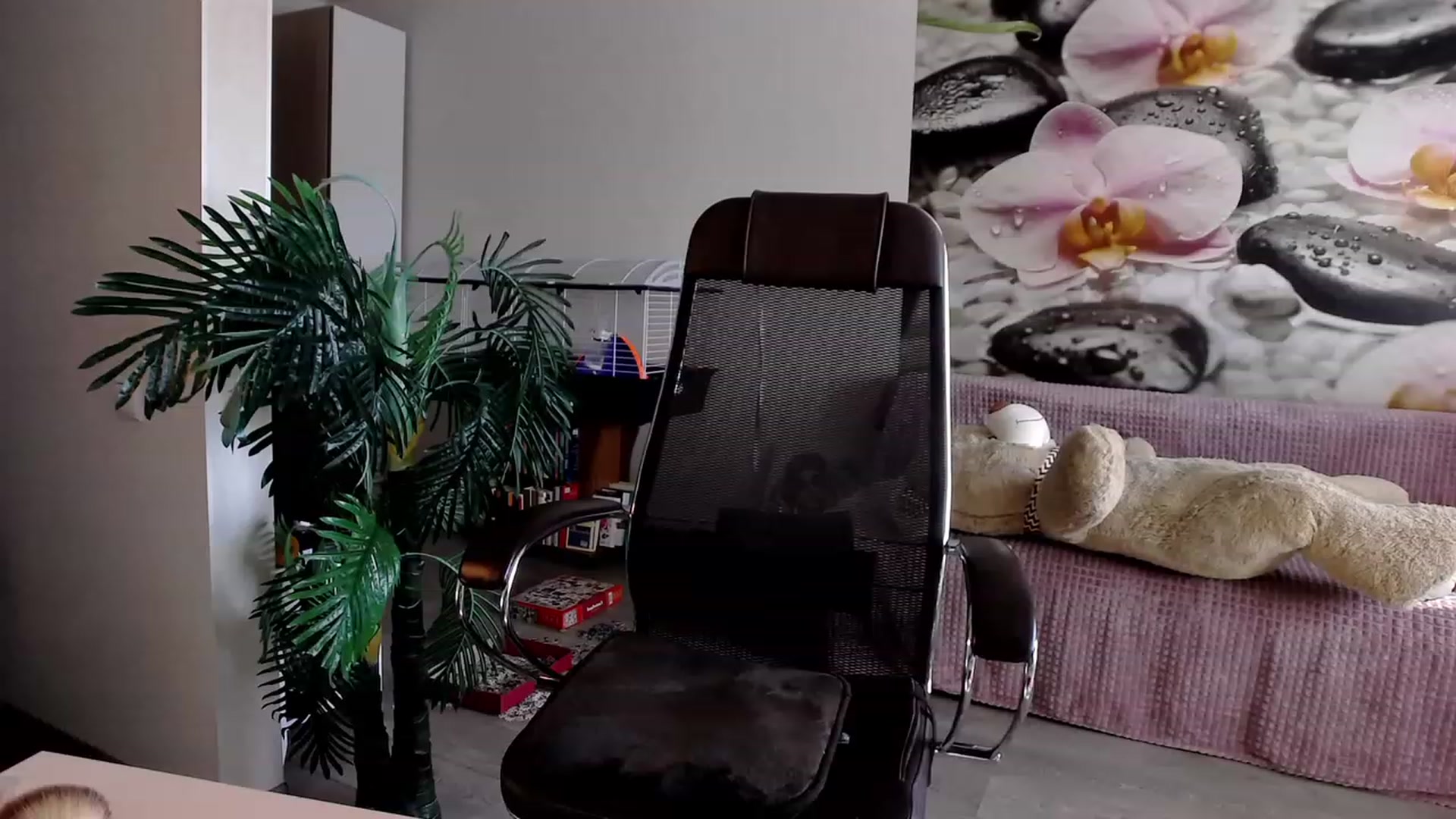 Gallery image thumbnail from HoneyIAmHome's myfreecams stream on, 08/09/2023, 07:58 image 17 of 20