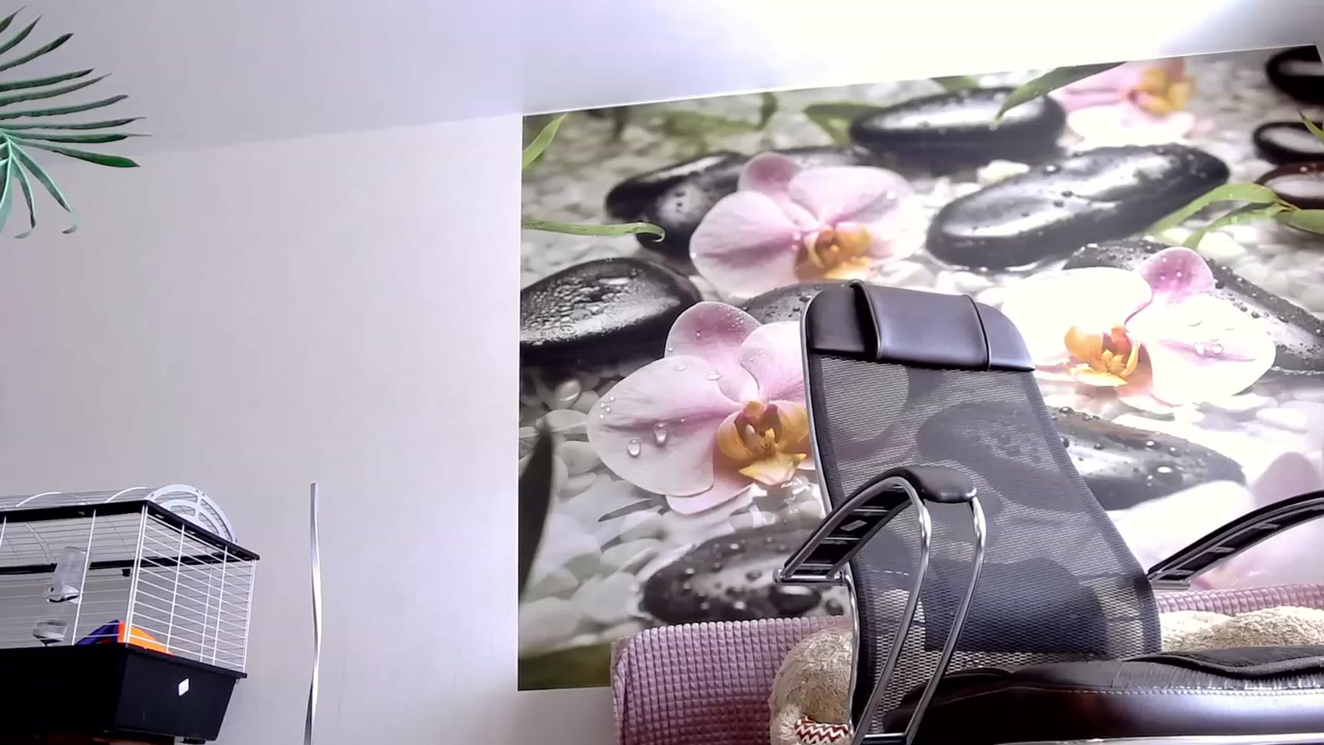 Gallery image thumbnail from HoneyIAmHome's myfreecams stream on, 08/13/2023, 07:35 image 12 of 20