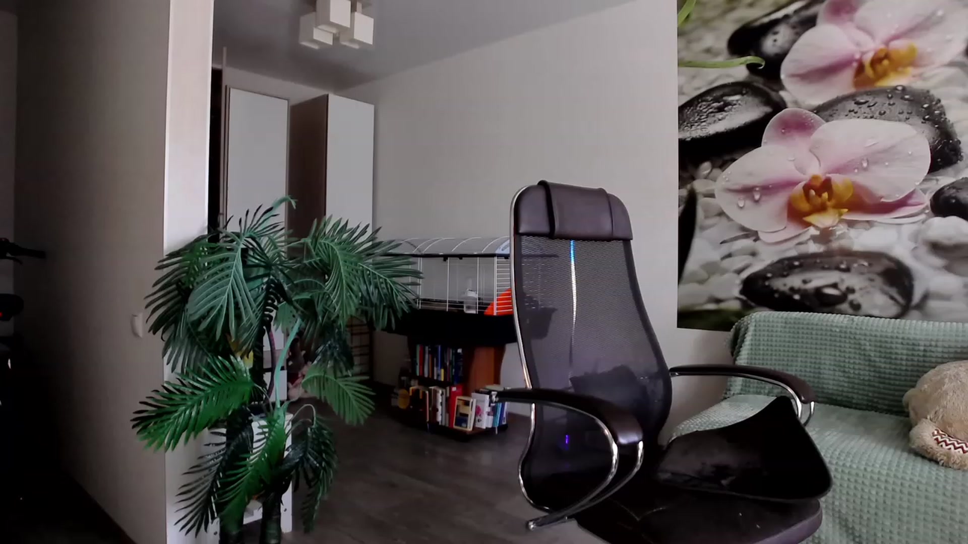 Gallery image thumbnail from HoneyIAmHome's myfreecams stream on, 08/19/2023, 07:58 image 14 of 20