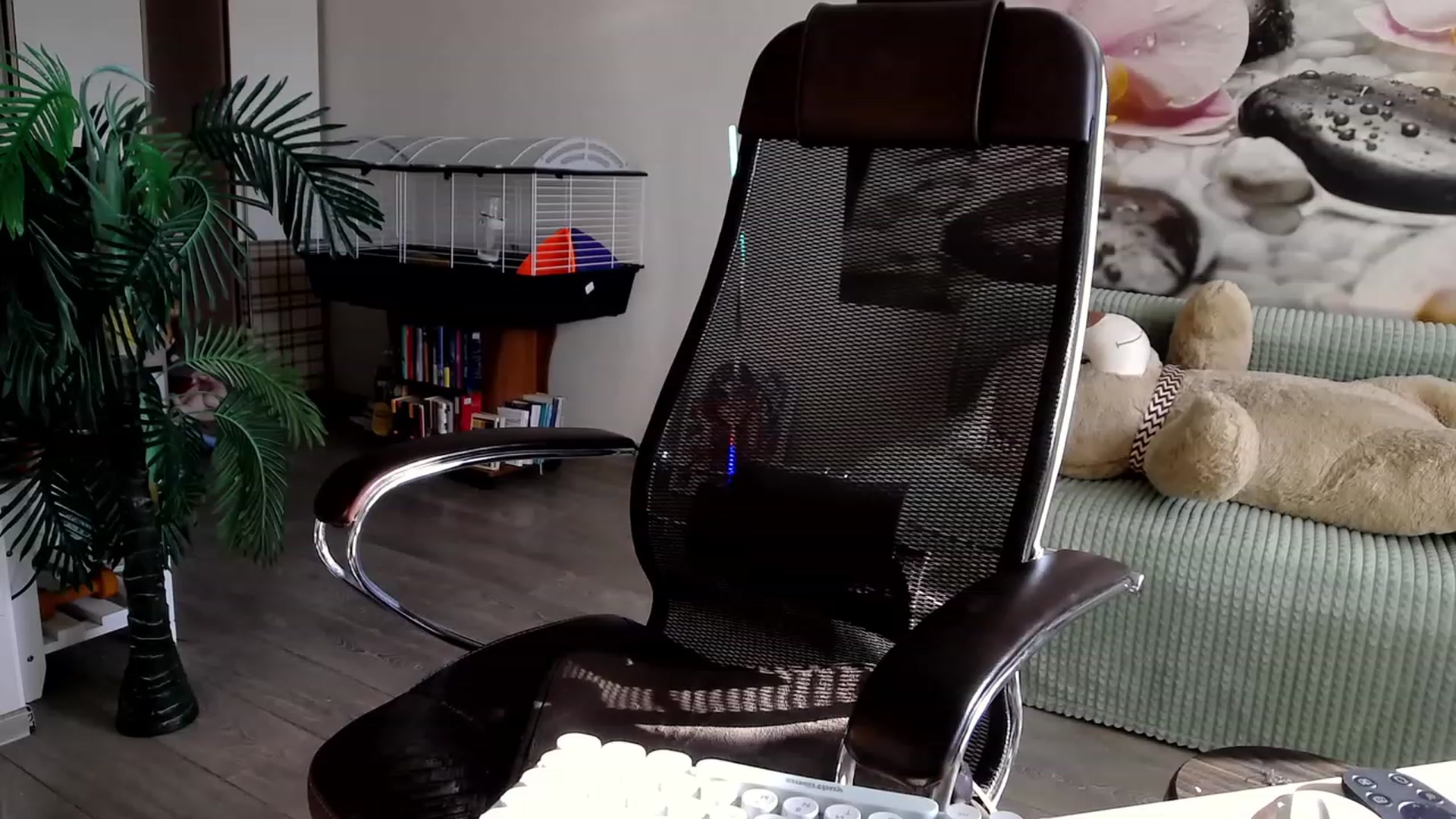 Gallery image thumbnail from HoneyIAmHome's myfreecams stream on, 09/03/2023, 07:37 image 16 of 20