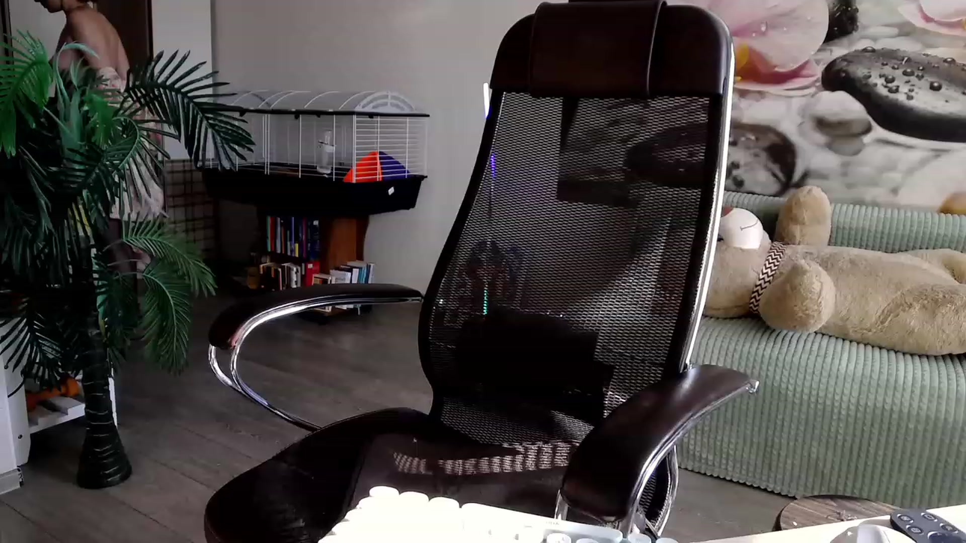 Gallery image thumbnail from HoneyIAmHome's myfreecams stream on, 09/03/2023, 07:37 image 15 of 20