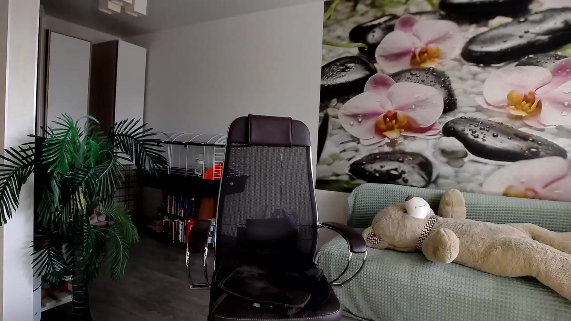 Gallery image thumbnail from HoneyIAmHome's myfreecams stream on, 09/04/2023, 07:57 image 18 of 20