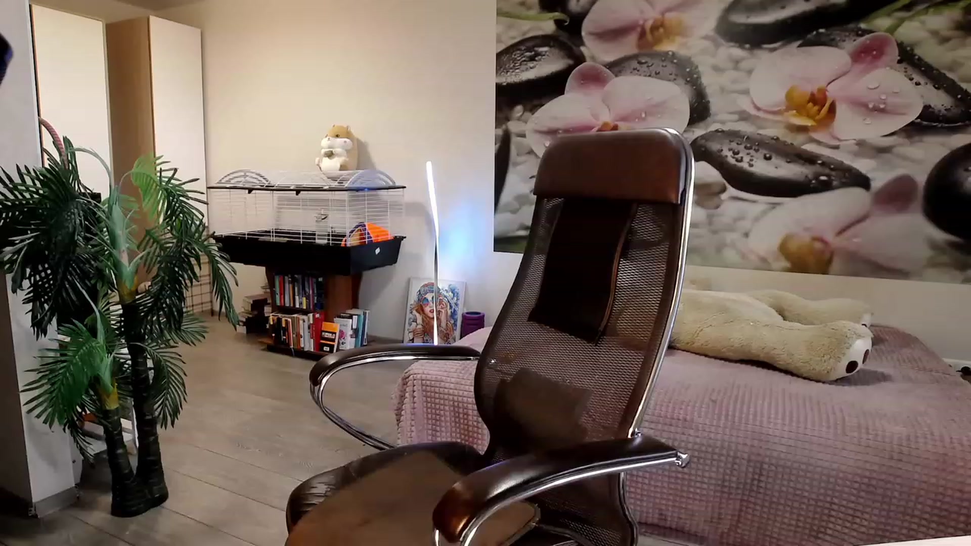 Gallery image thumbnail from HoneyIAmHome's myfreecams stream on, 10/15/2023, 06:49 image 6 of 20