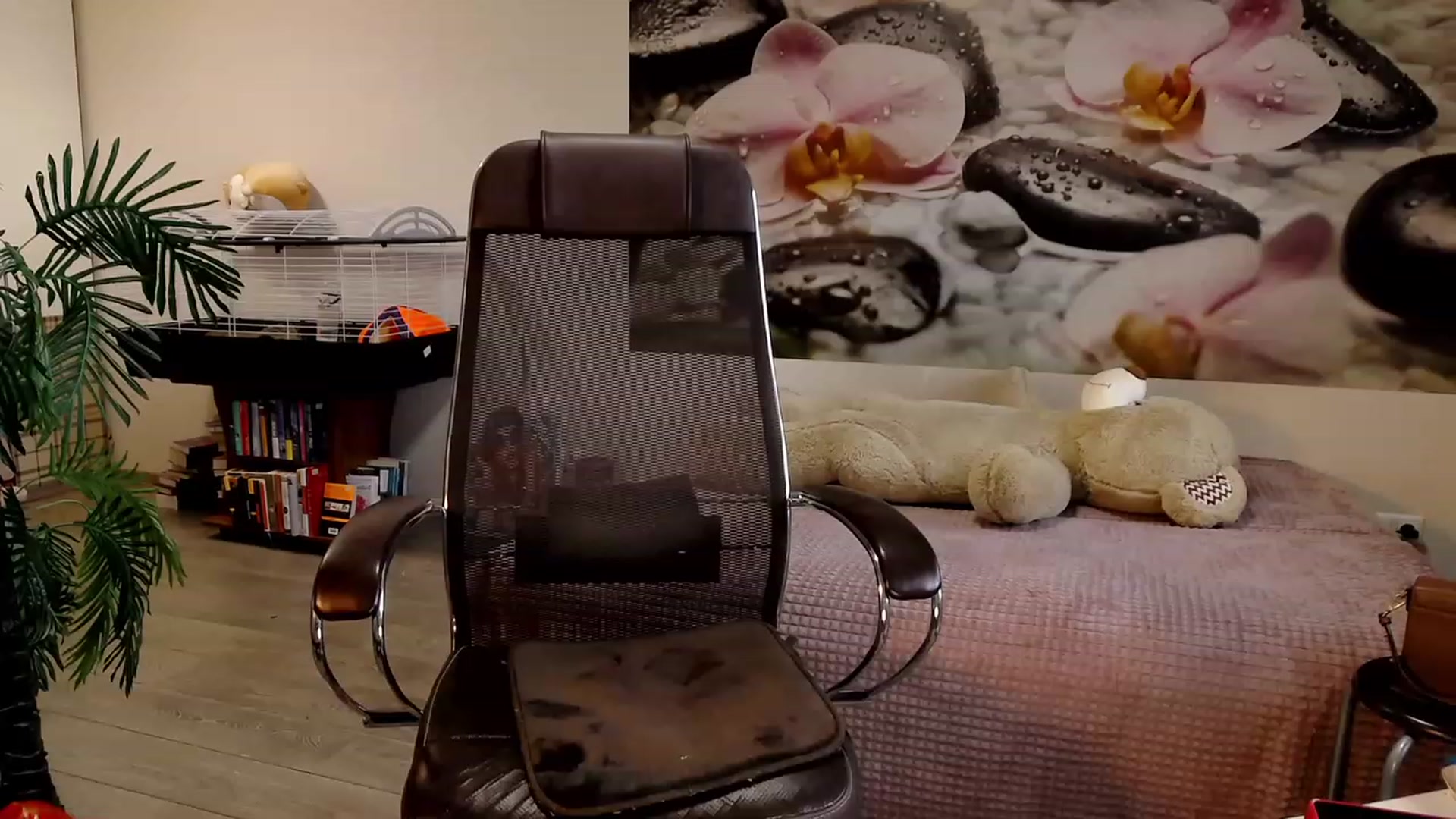 Gallery image thumbnail from HoneyIAmHome's myfreecams stream on, 10/18/2023, 06:05 image 10 of 20