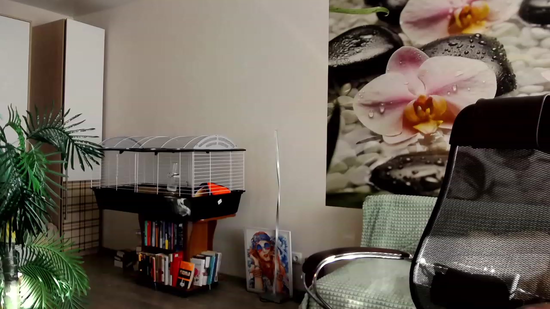 Gallery image thumbnail from HoneyIAmHome's myfreecams stream on, 11/01/2023, 06:55 image 11 of 20