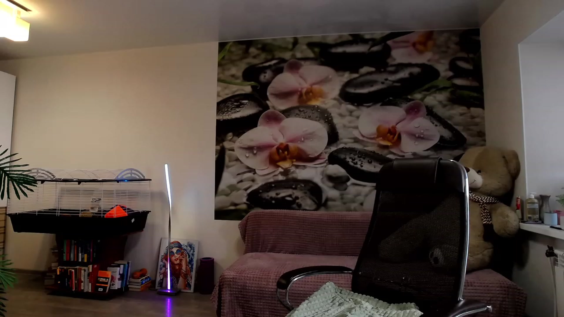 Gallery image thumbnail from HoneyIAmHome's myfreecams stream on, 11/11/2023, 07:21 image 8 of 20