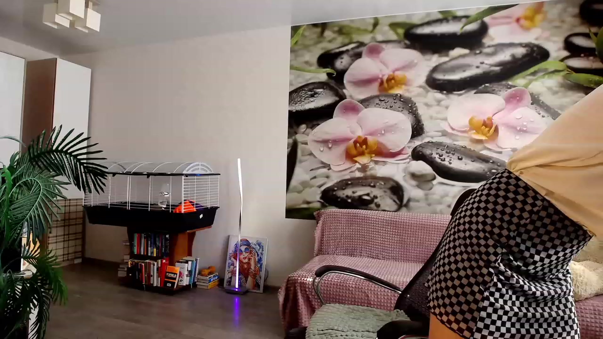 Gallery image thumbnail from HoneyIAmHome's myfreecams stream on, 11/12/2023, 06:00 image 18 of 20