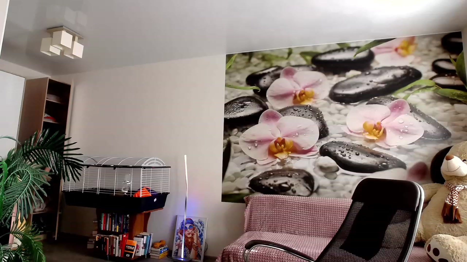 Gallery image thumbnail from HoneyIAmHome's myfreecams stream on, 11/12/2023, 06:00 image 17 of 20