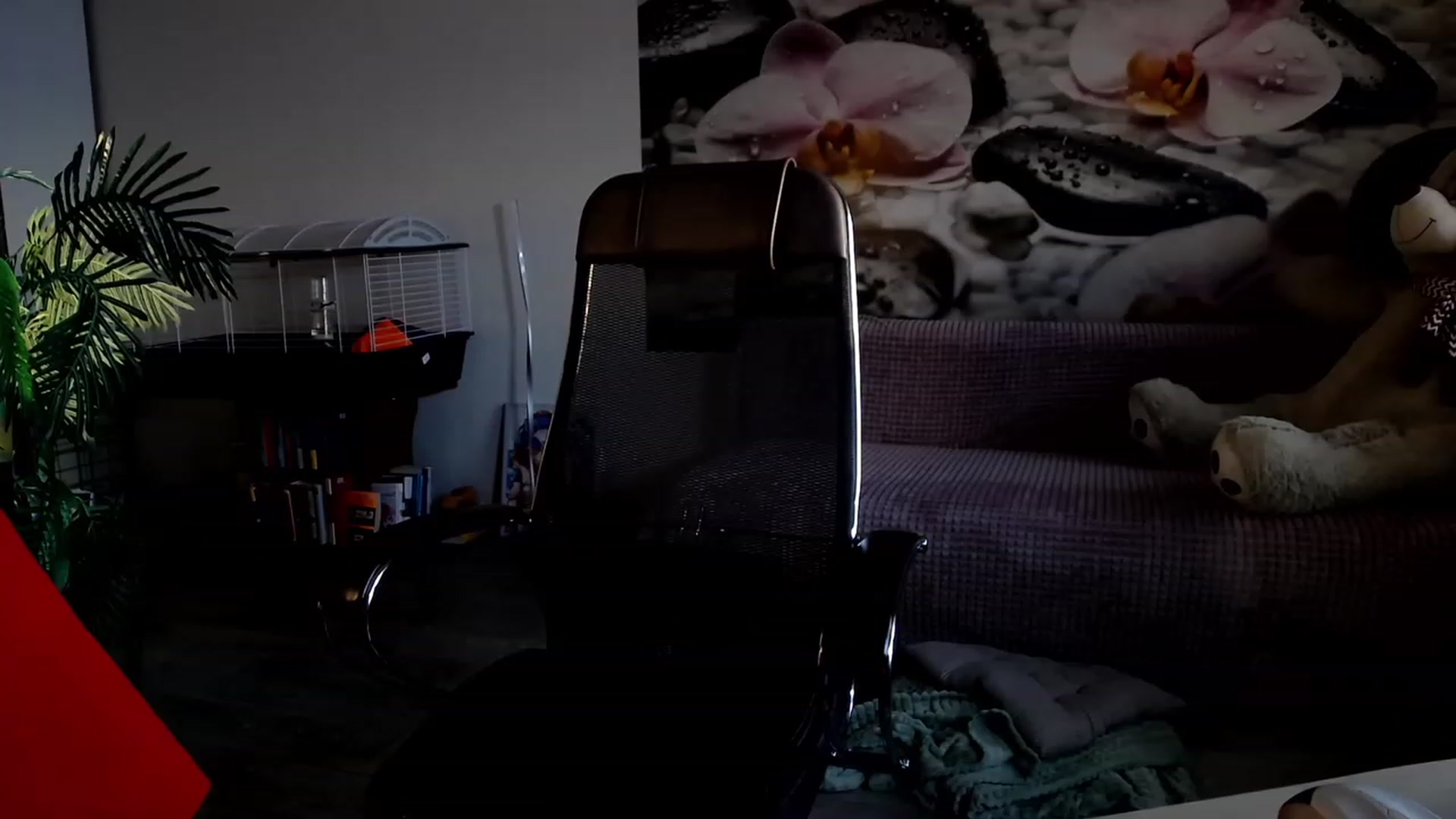 Gallery image thumbnail from HoneyIAmHome's myfreecams stream on, 11/15/2023, 07:58 image 4 of 20